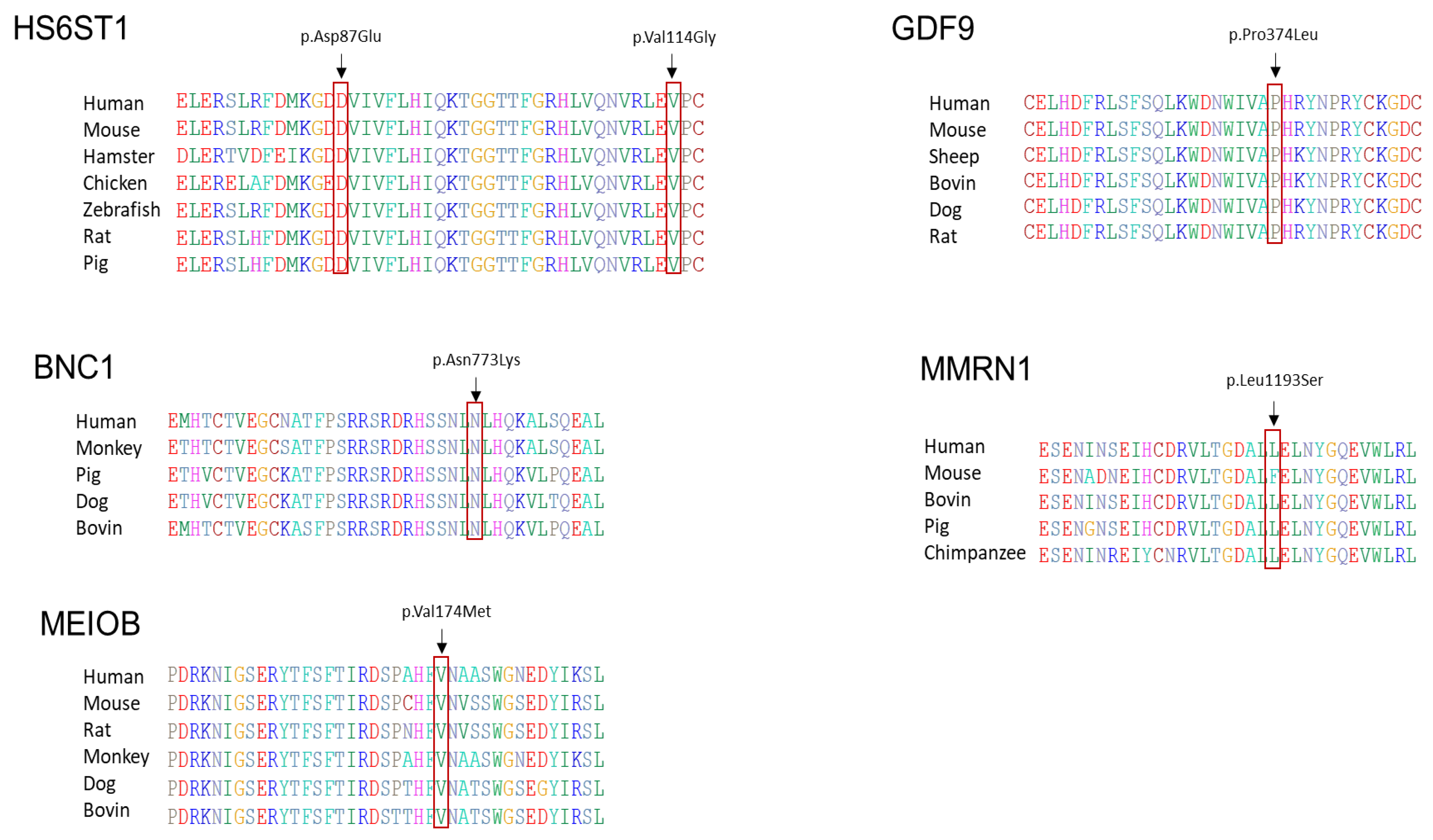 Biomedicines 12 00785 g002