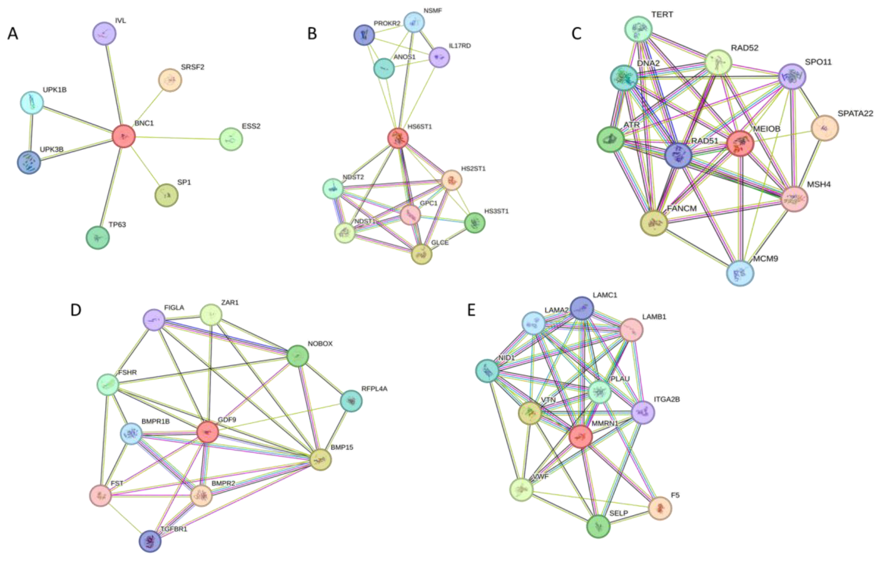 Biomedicines 12 00785 g003