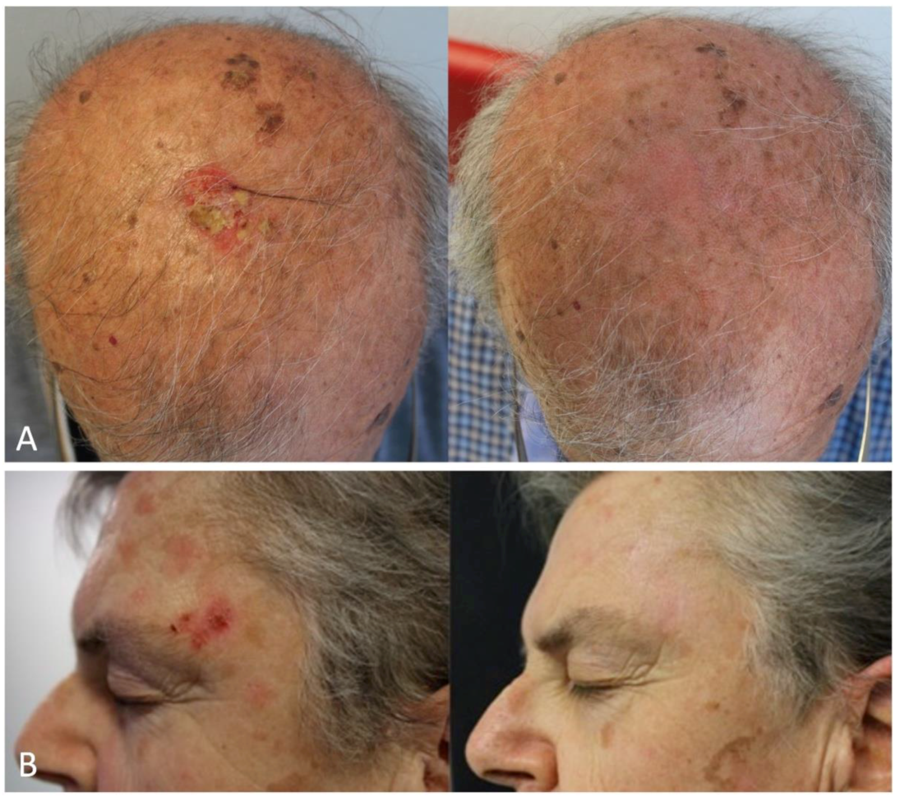 Biomedicines 12 00795 g002