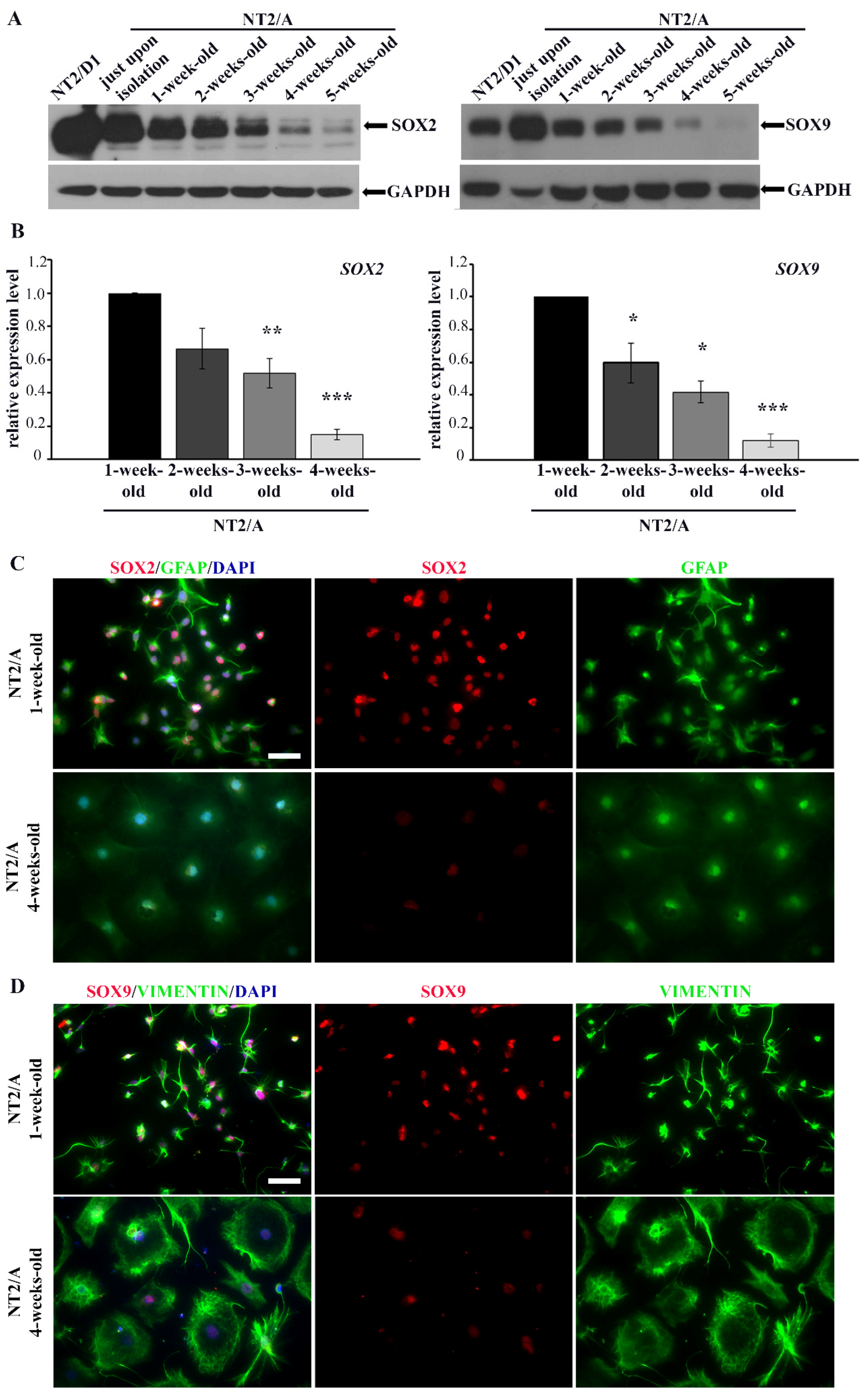 Biomedicines 12 00796 g002