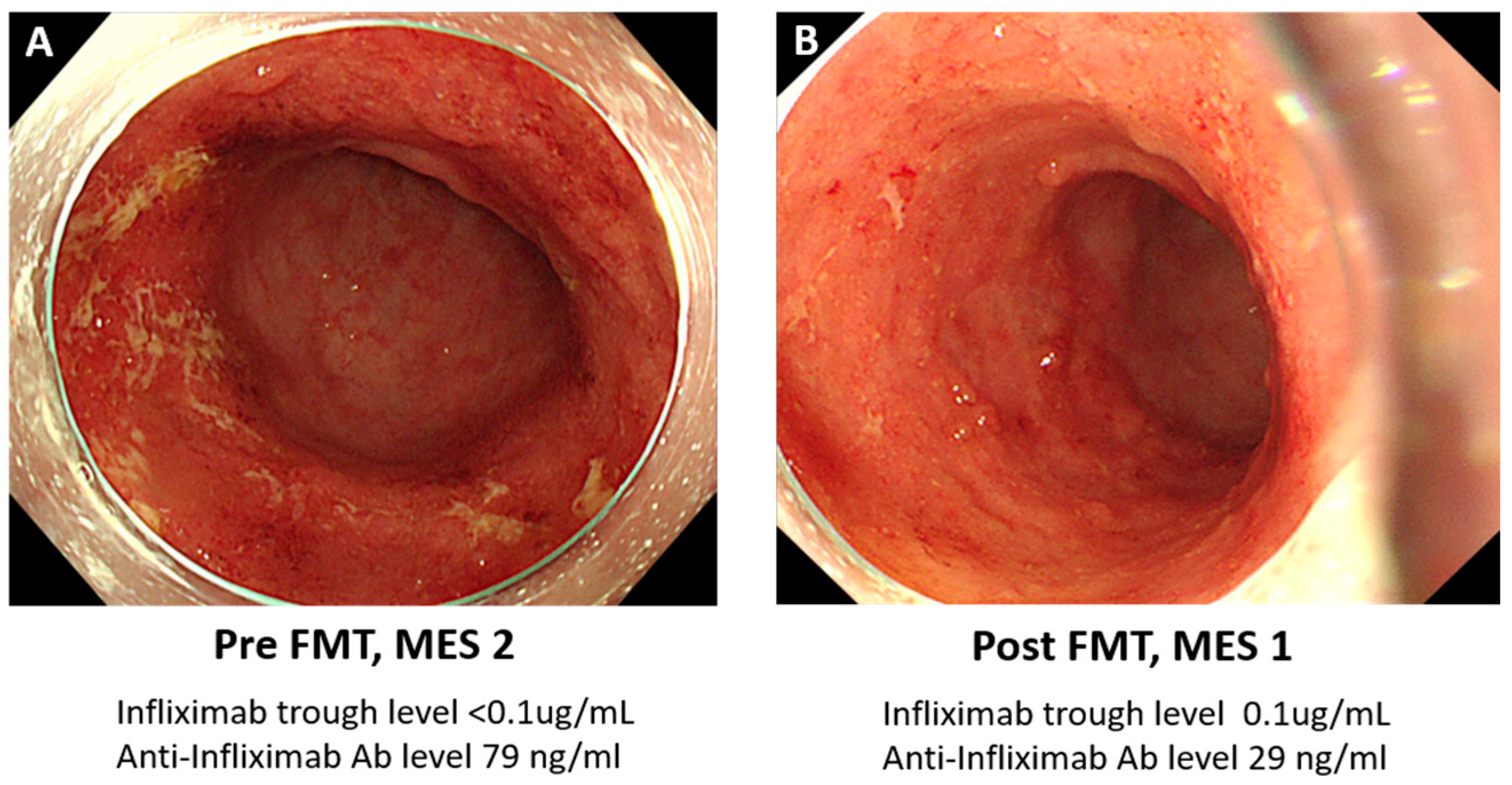 Biomedicines 12 00800 g001
