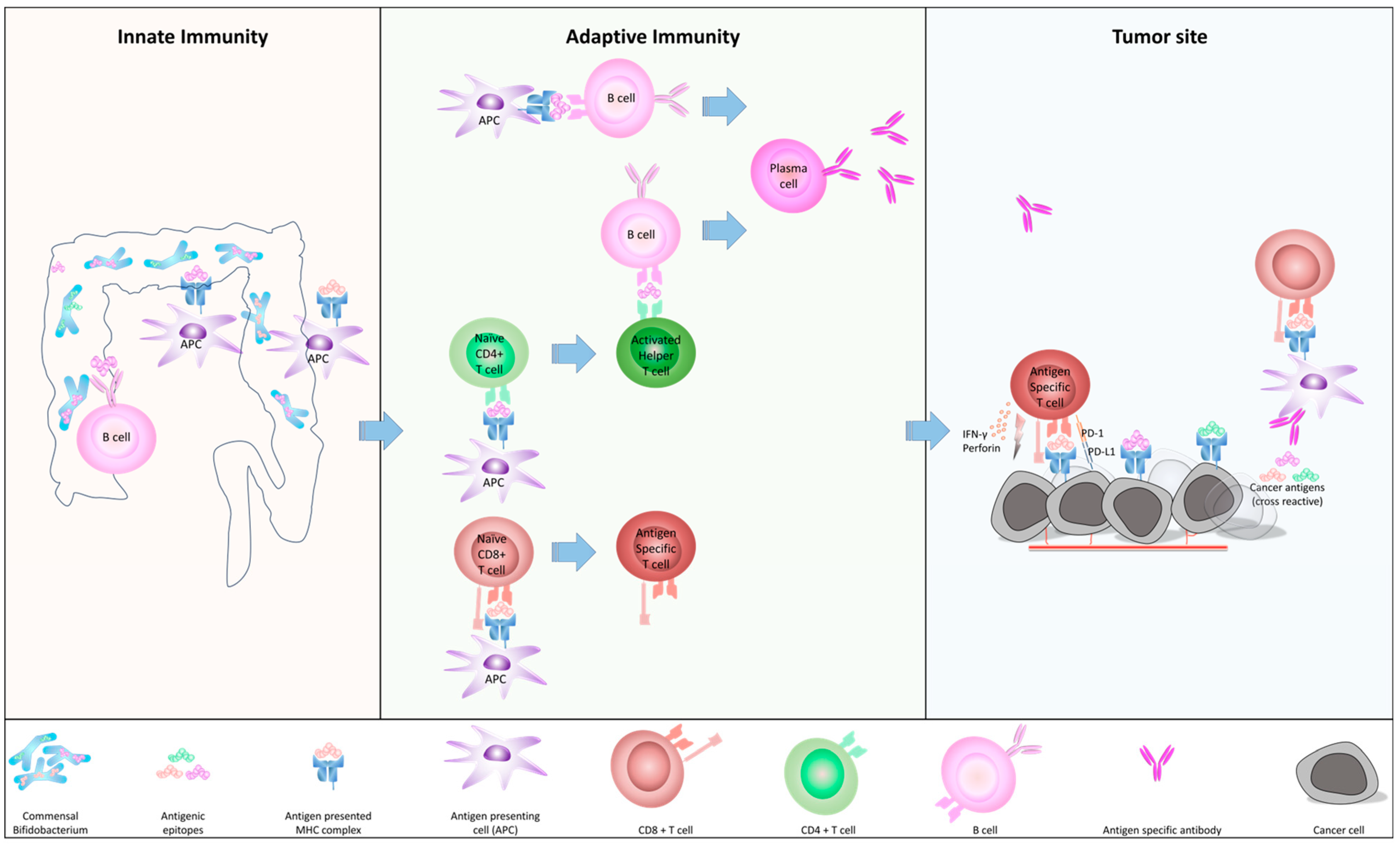 Biomedicines 12 00803 g001 Biomedicines 12 00803 g001