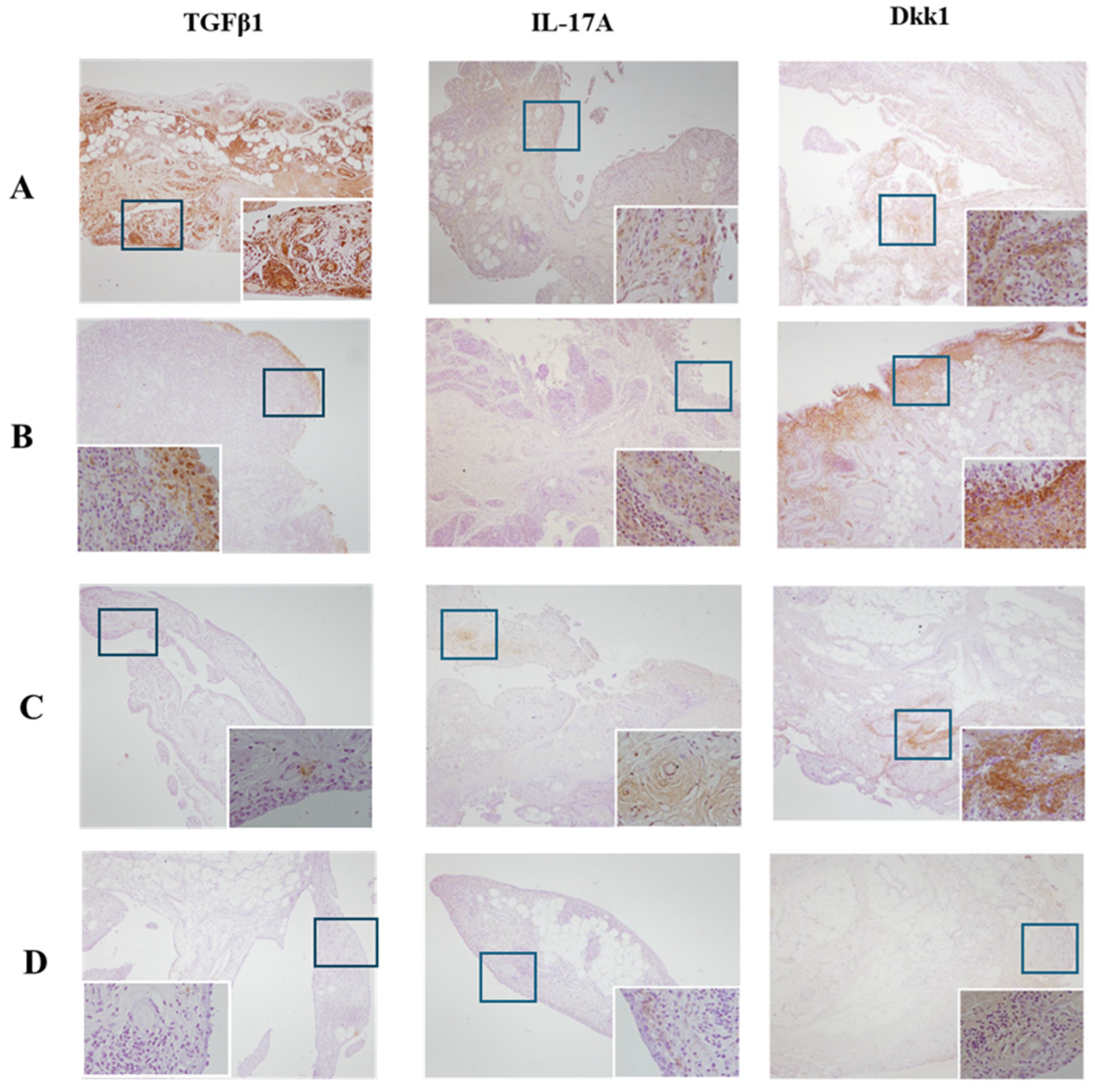 Biomedicines 12 00815 g005