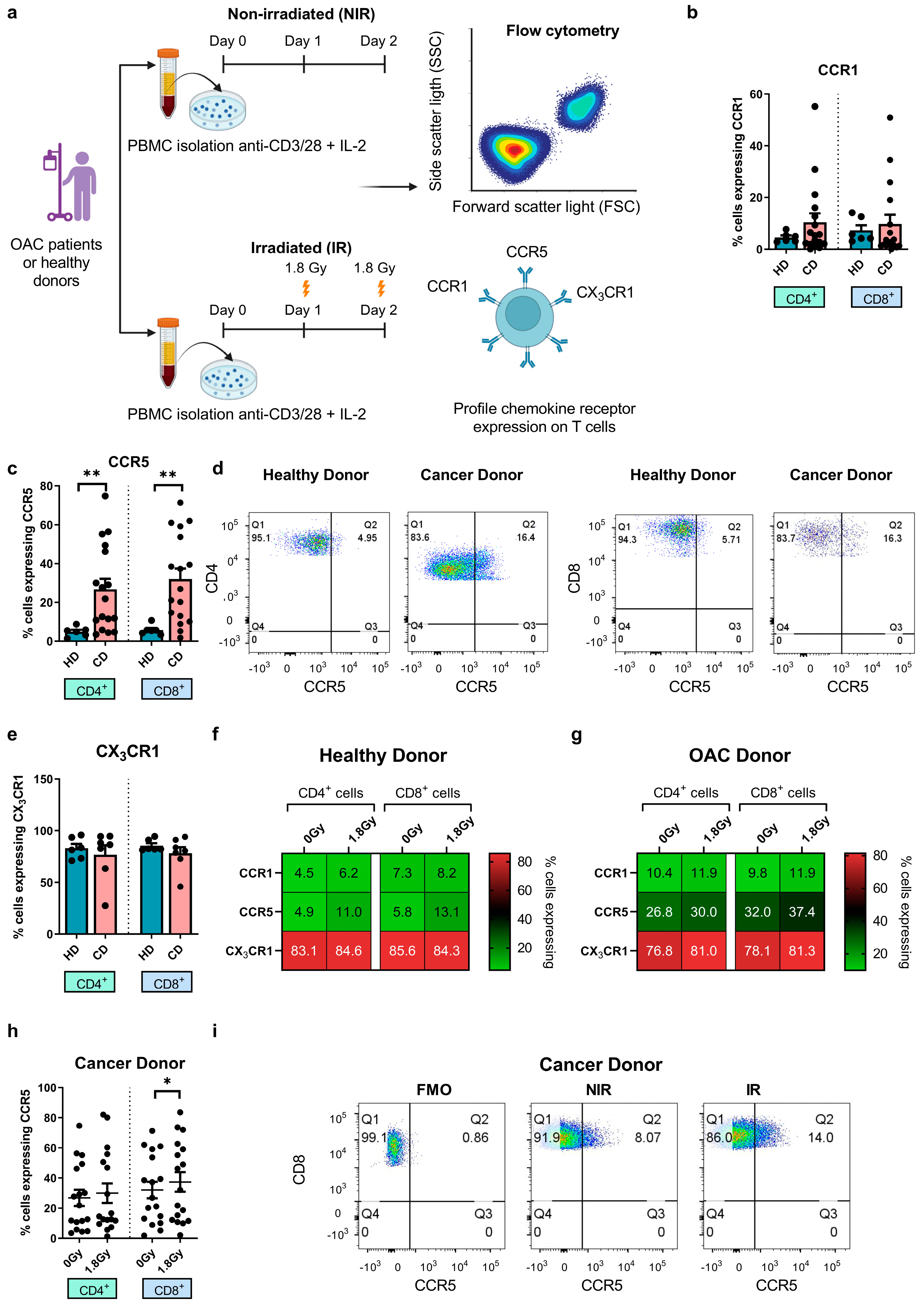 Biomedicines 12 00819 g002