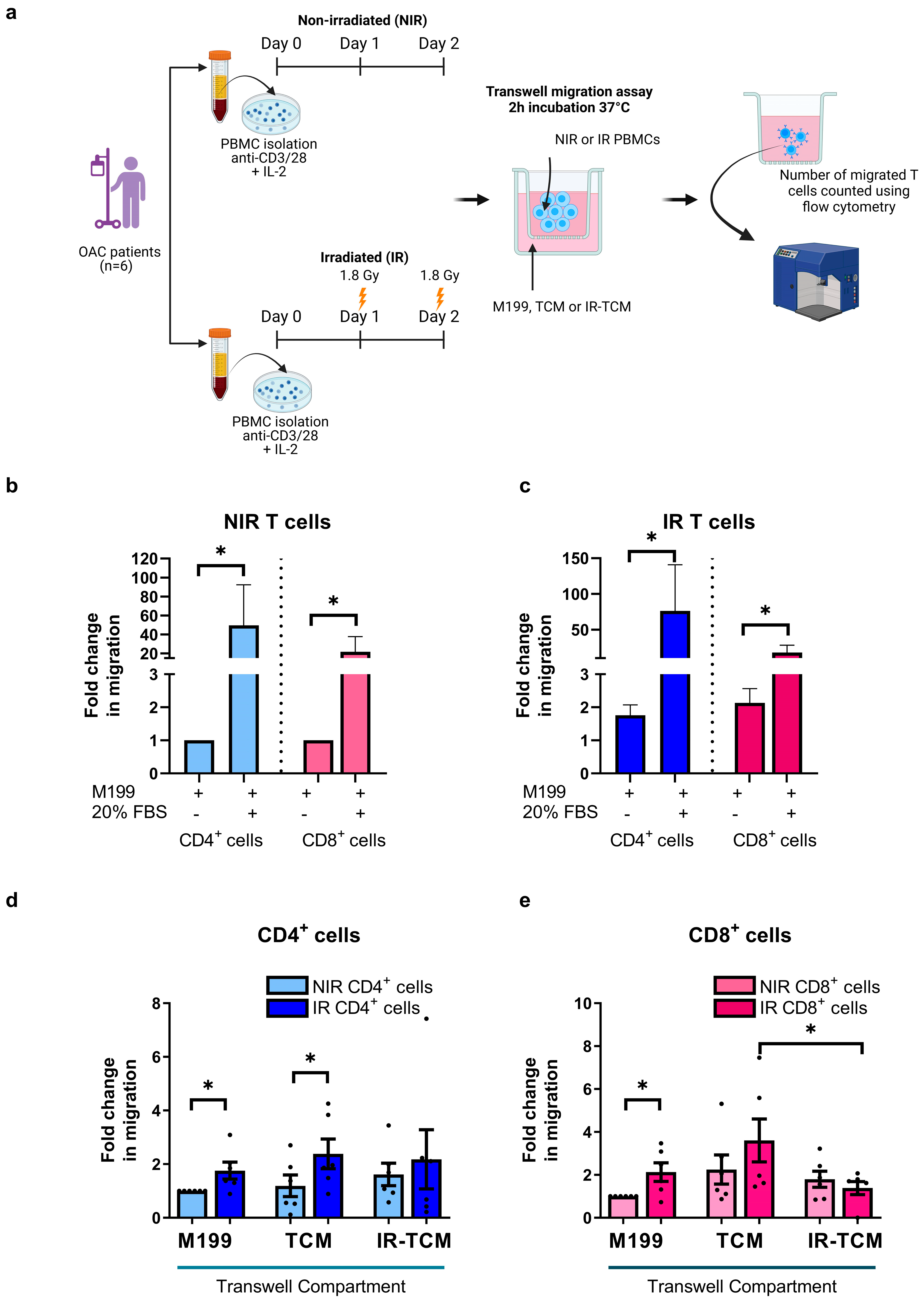 Biomedicines 12 00819 g003