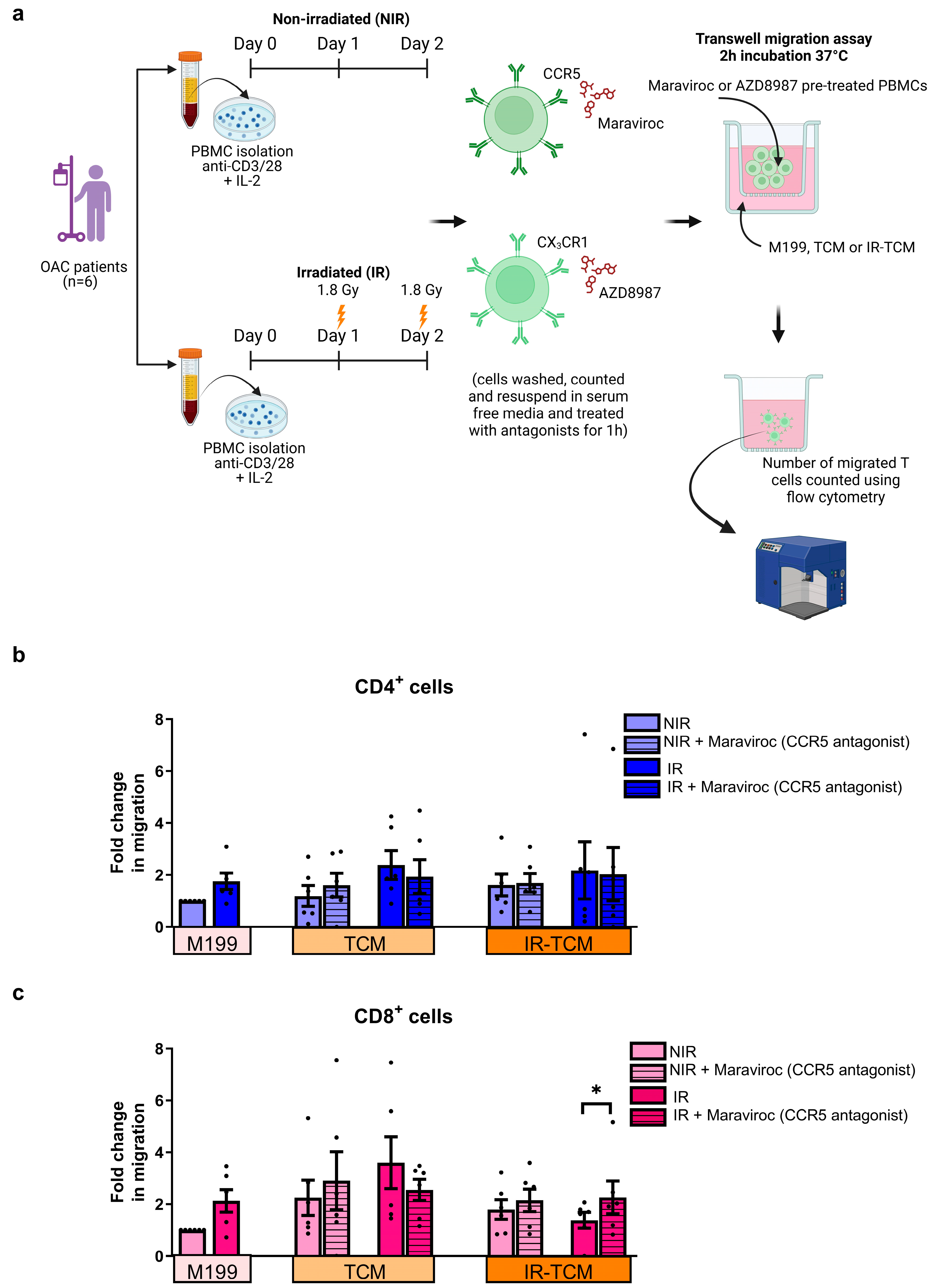 Biomedicines 12 00819 g004