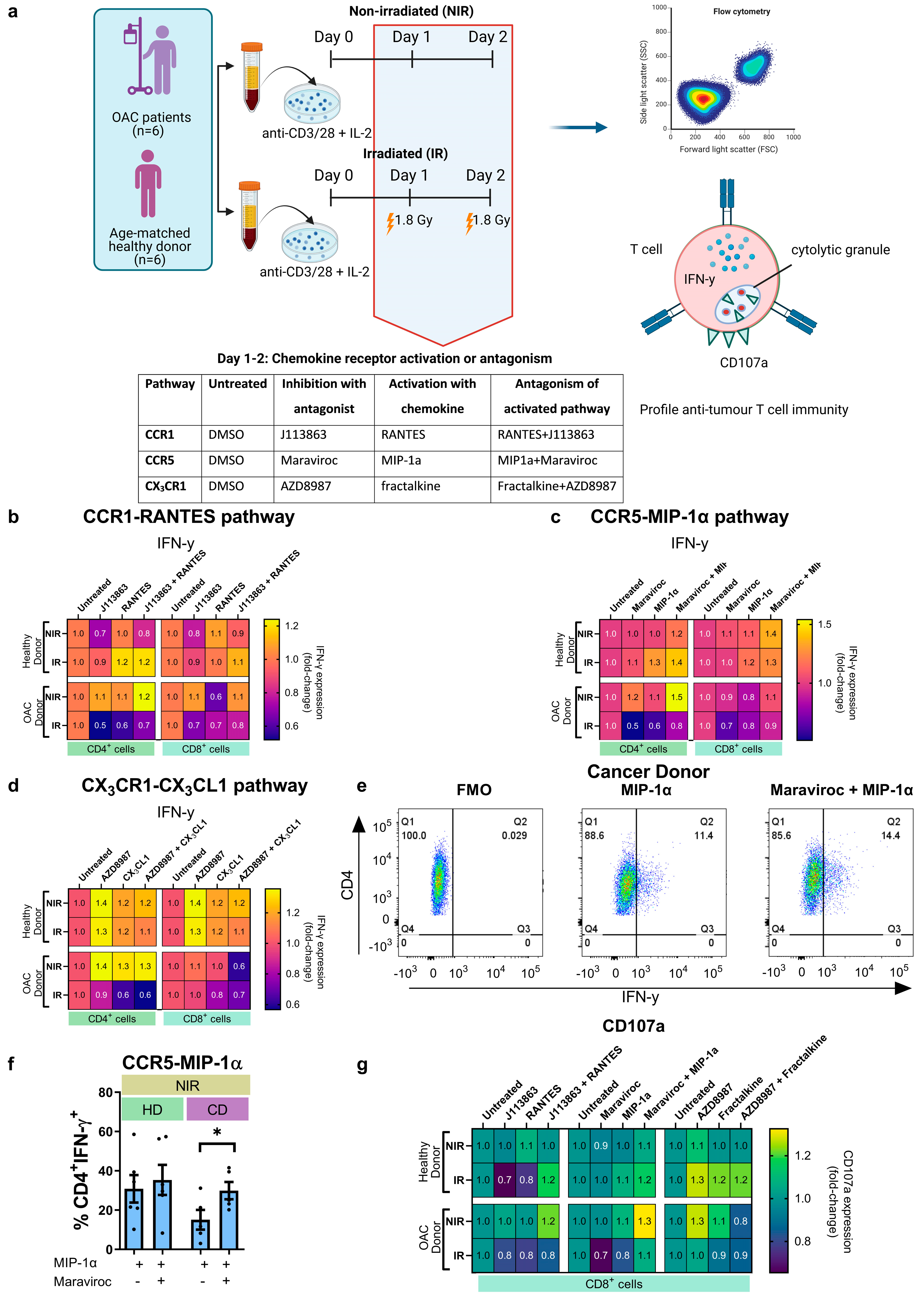 Biomedicines 12 00819 g005