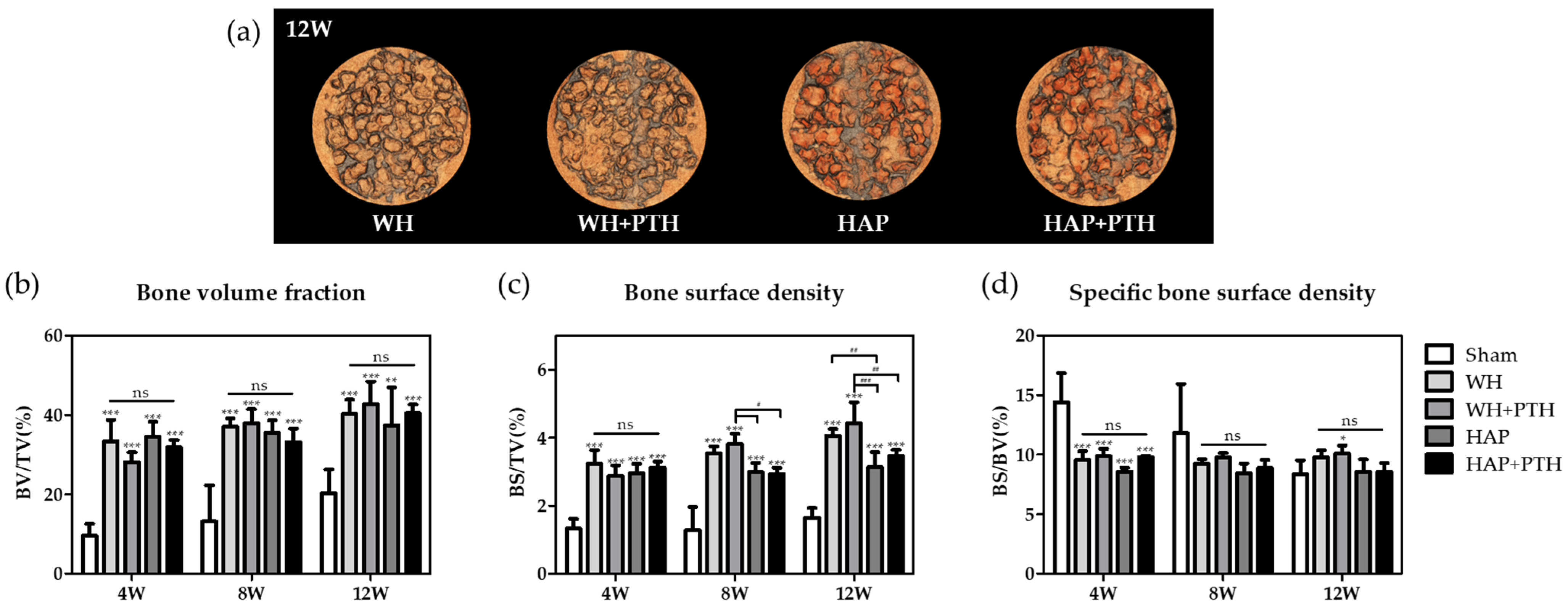 Biomedicines 12 00820 g002