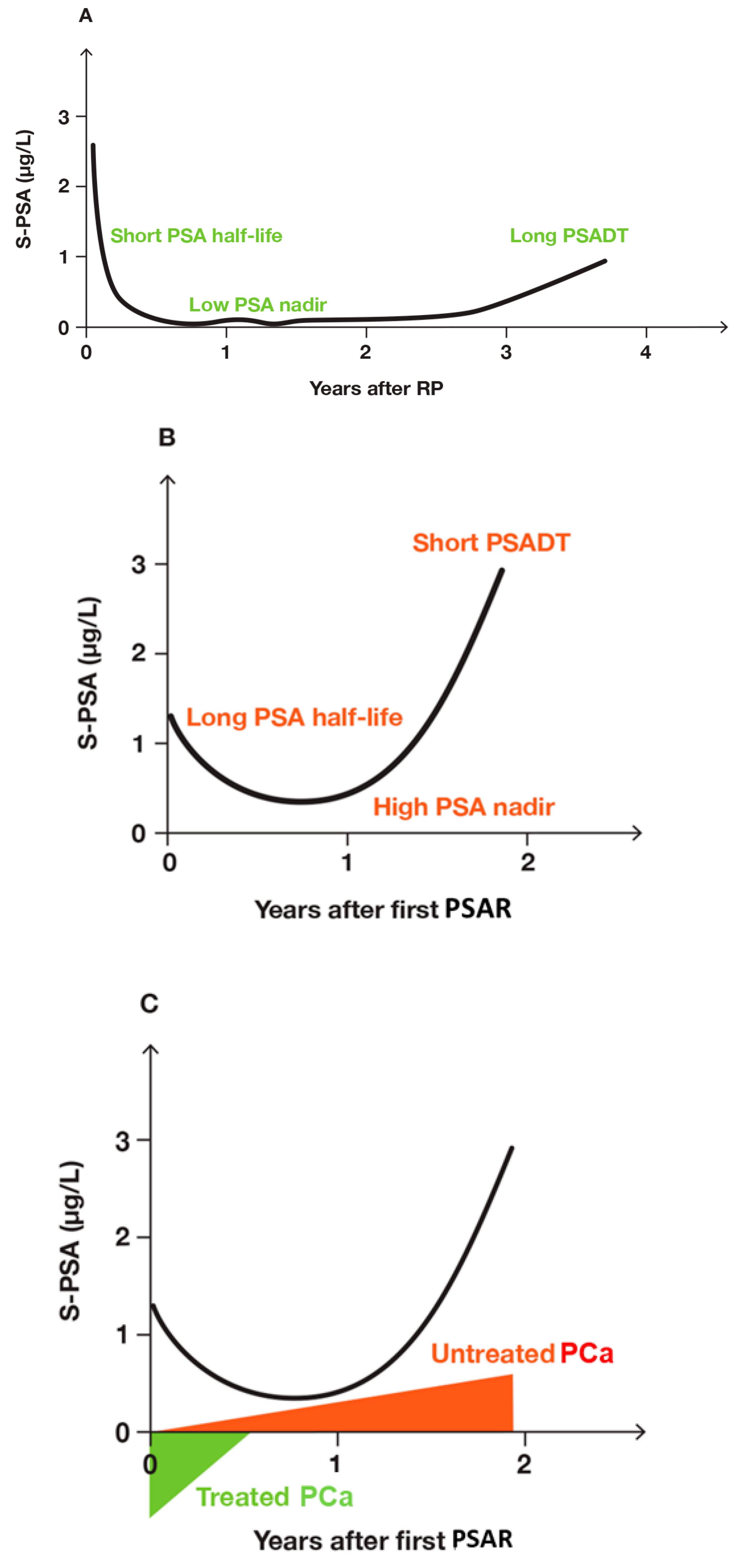 Biomedicines 12 00822 g004 Biomedicines 12 00822 g004