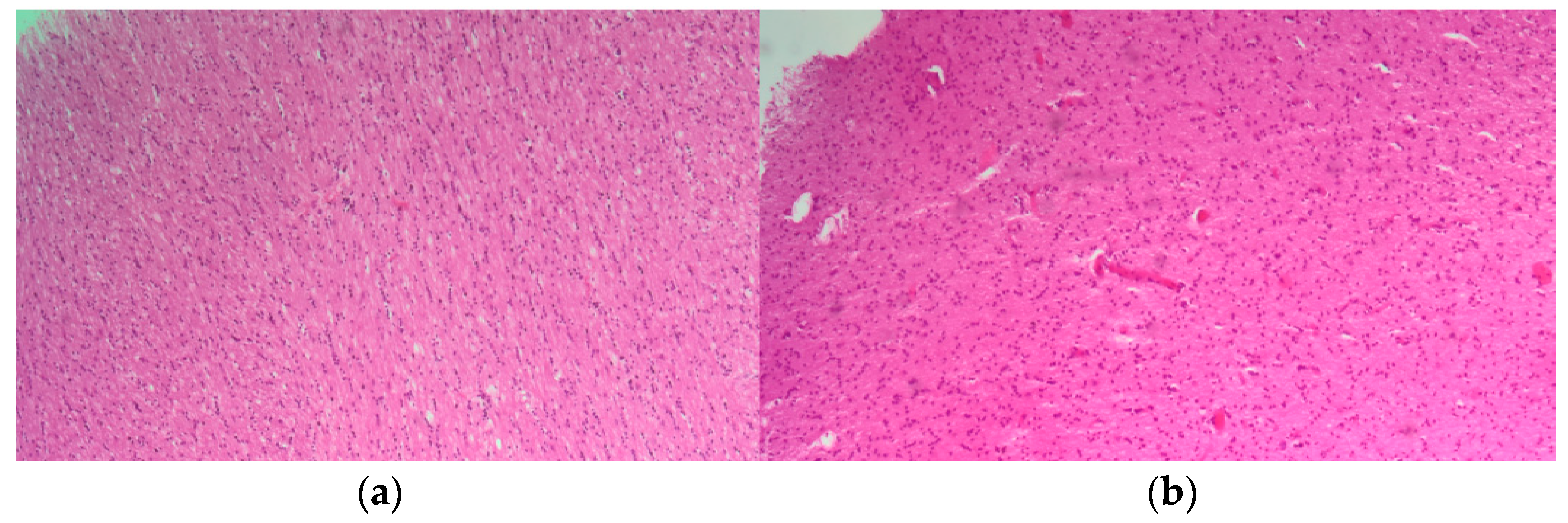 Biomedicines 12 00830 g002