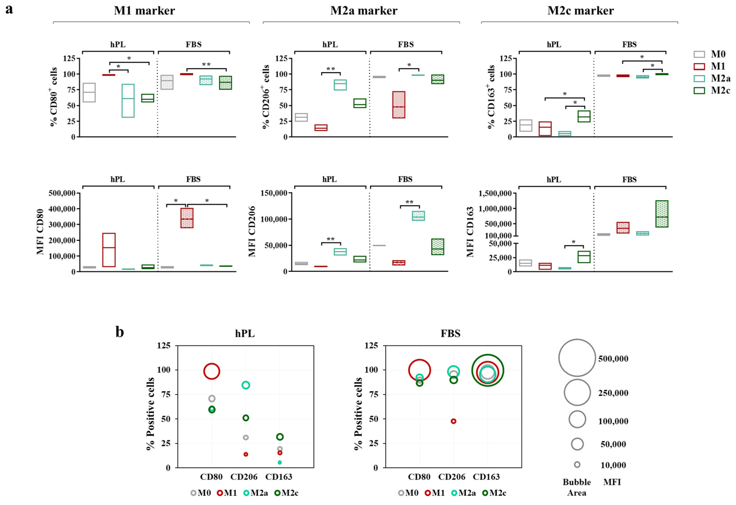 Biomedicines 12 00833 g005
