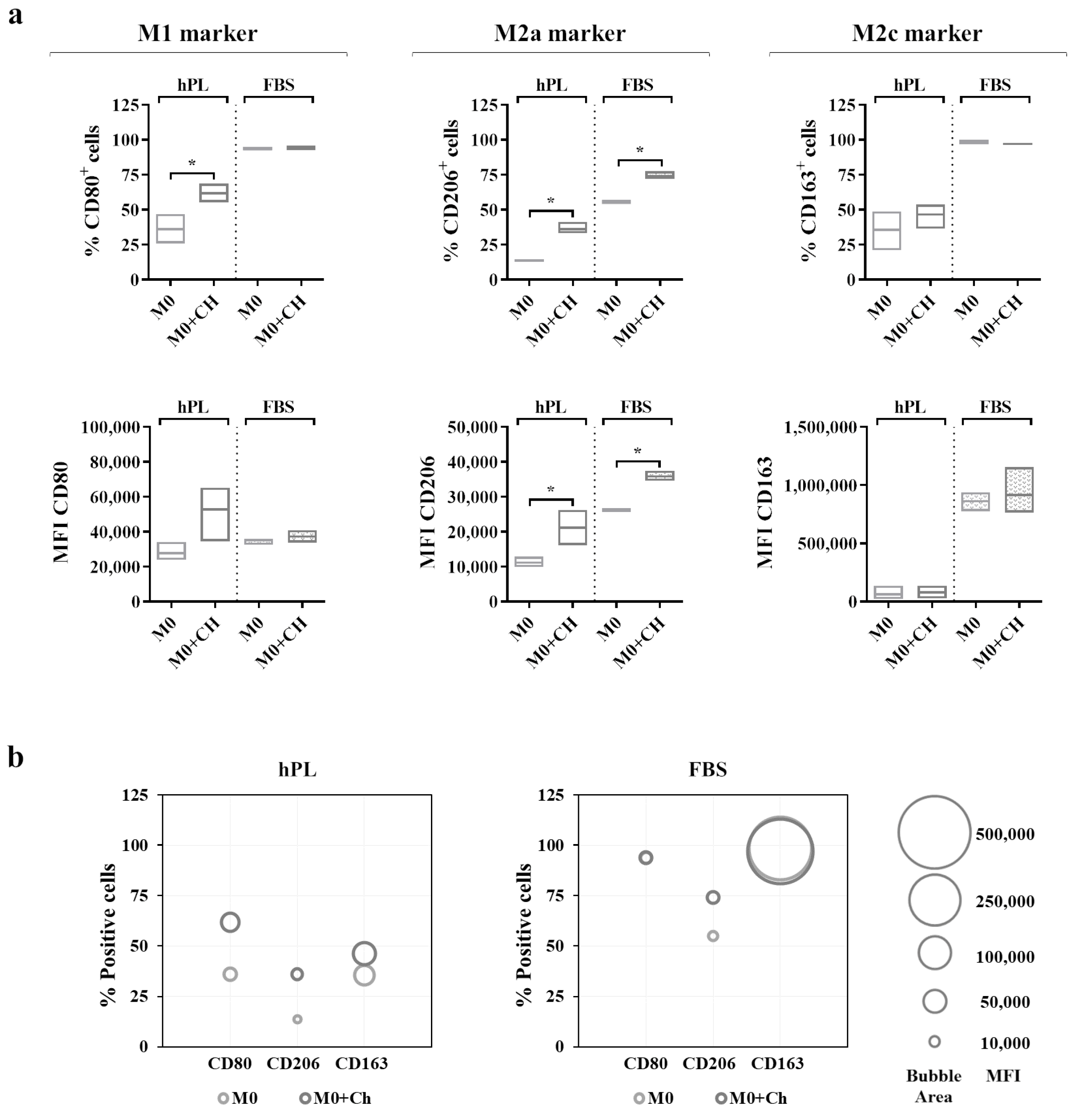 Biomedicines 12 00833 g006