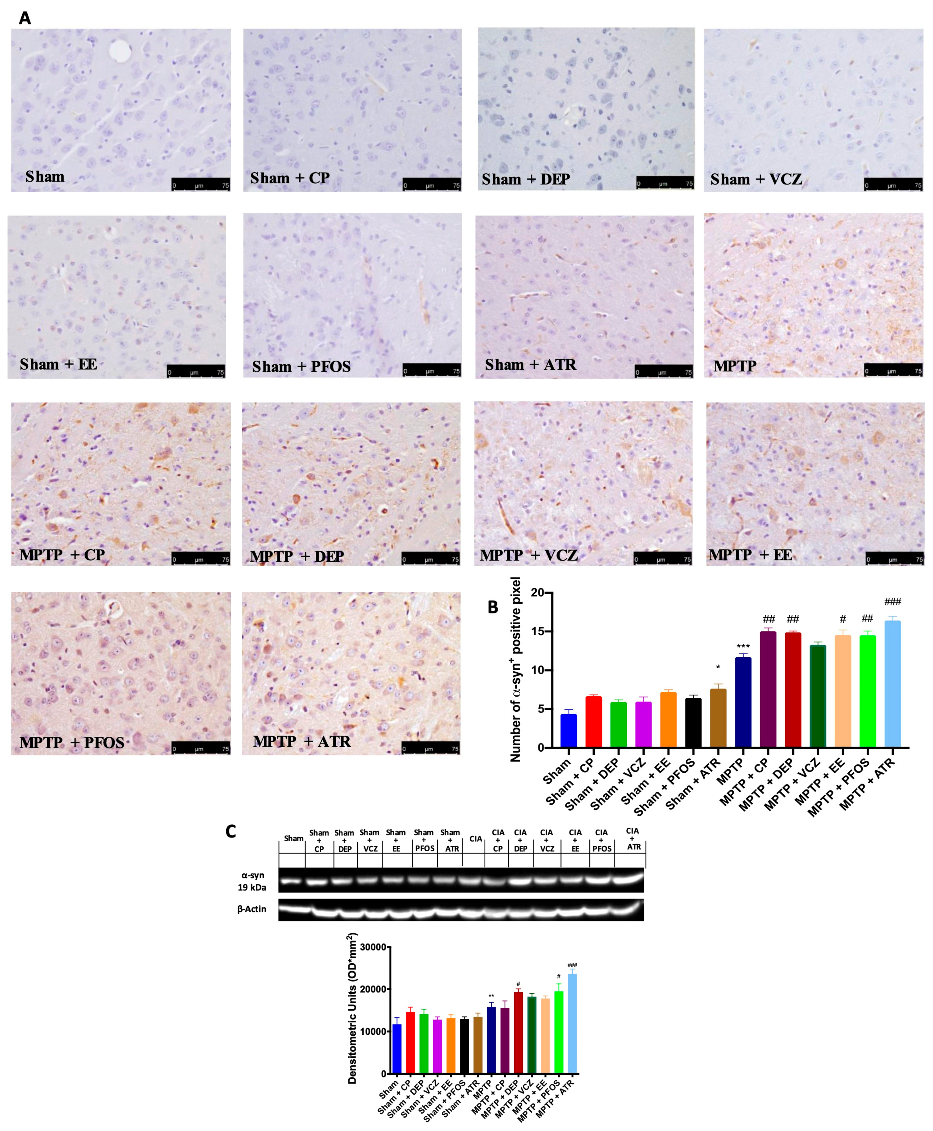 Biomedicines 12 00834 g003