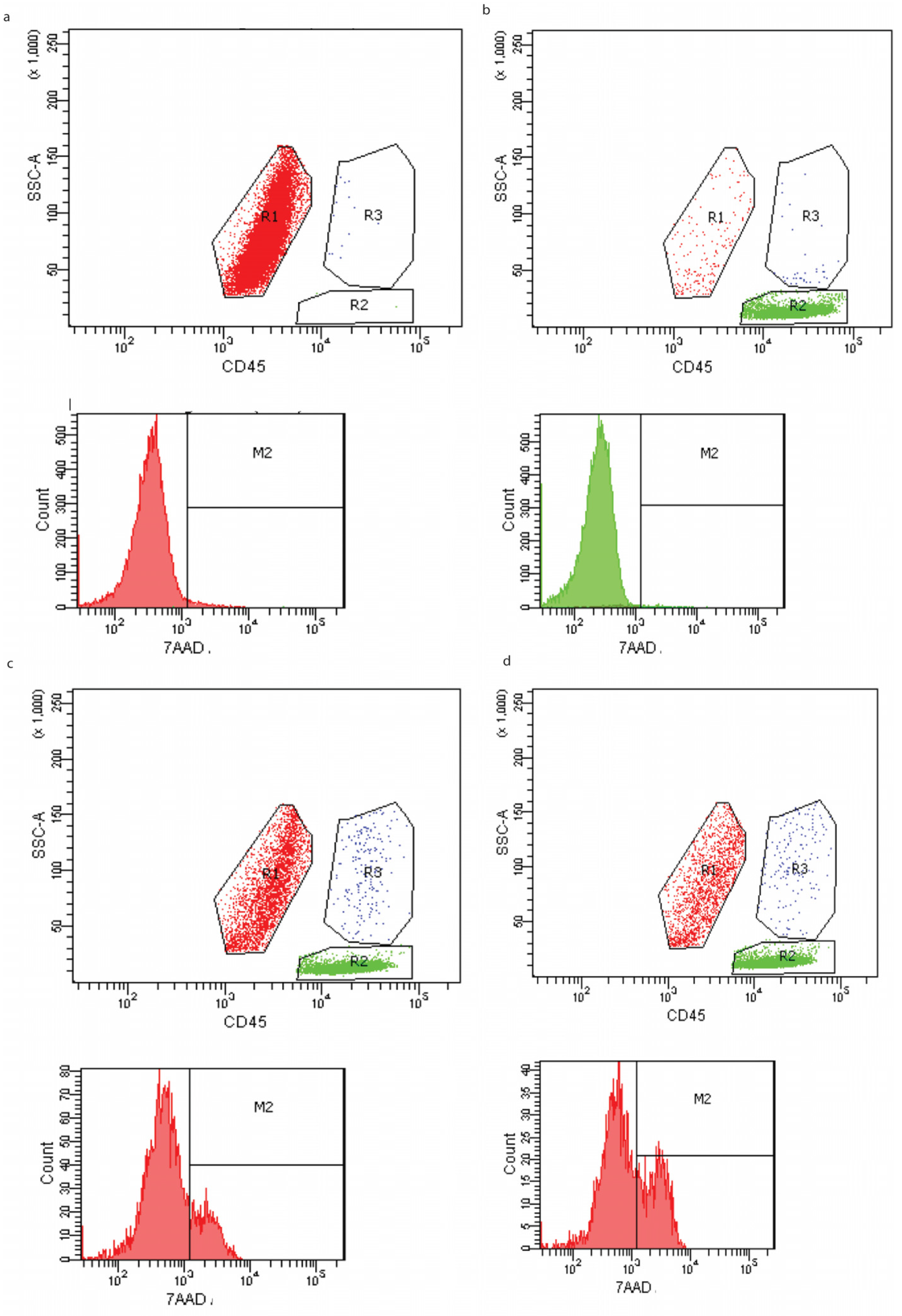 Biomedicines 12 00842 g005