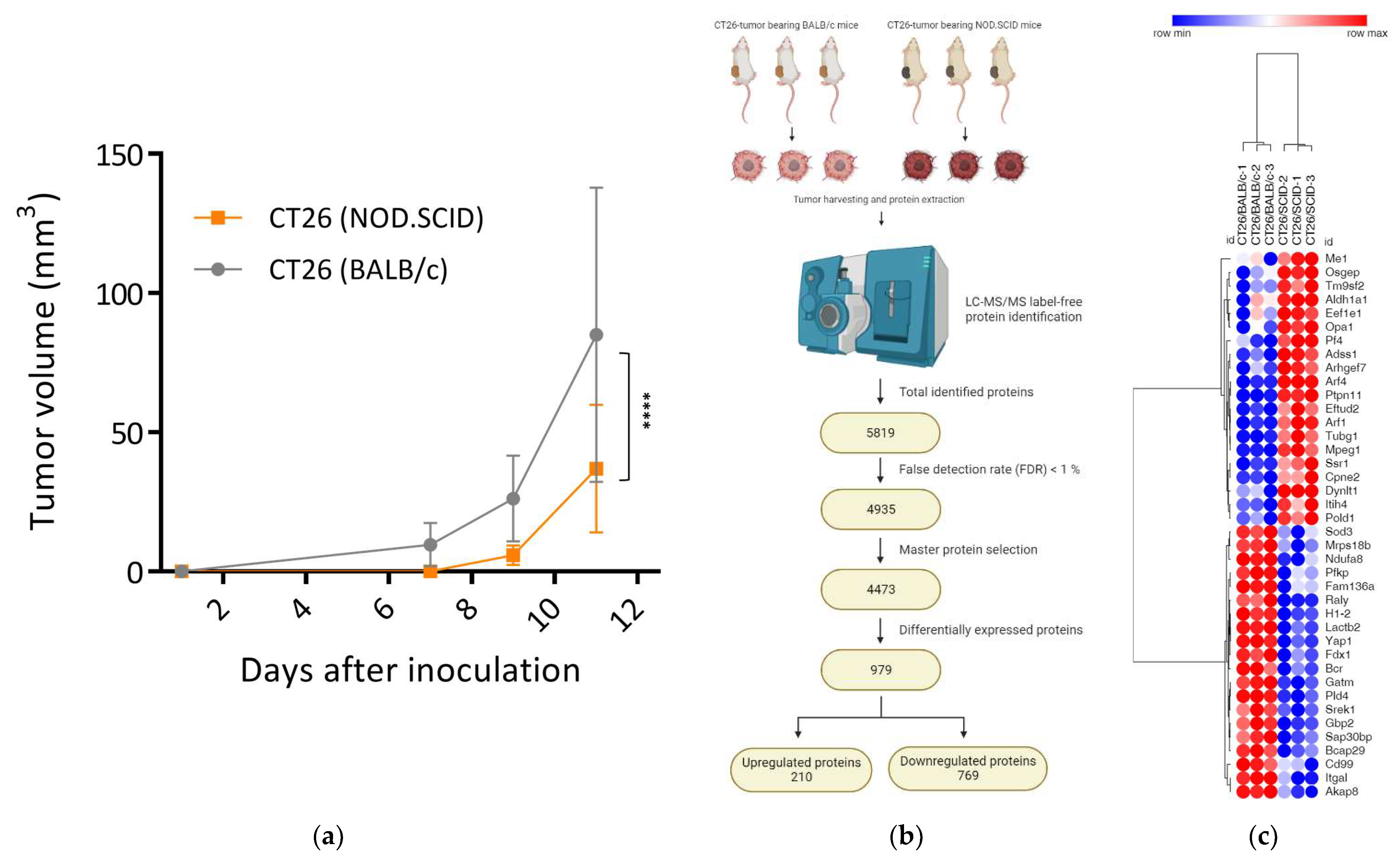 Biomedicines 12 00846 g001