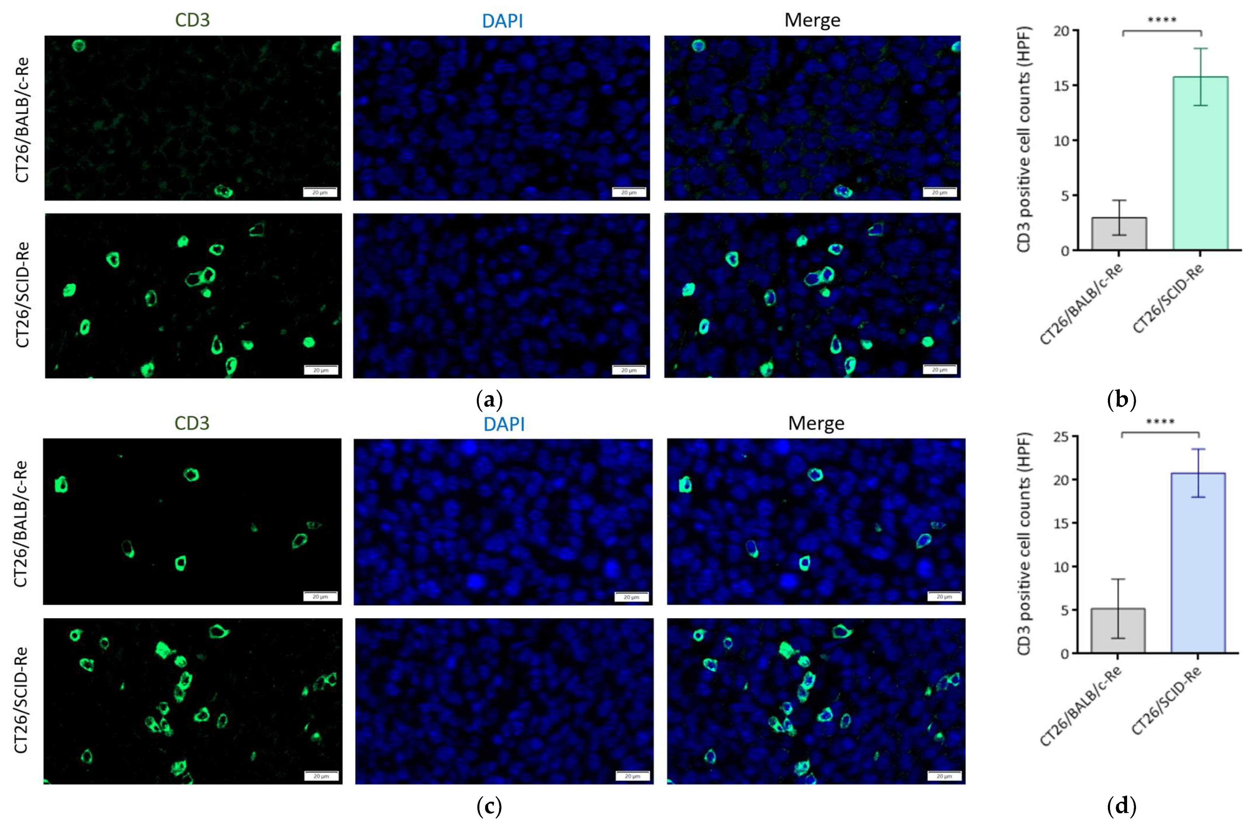 Biomedicines 12 00846 g005