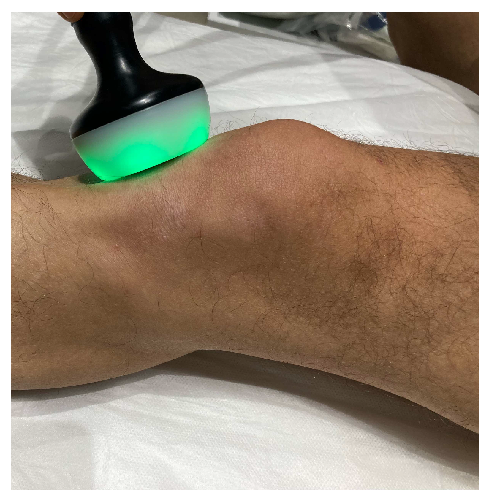 Biomedicines 12 00850 g001