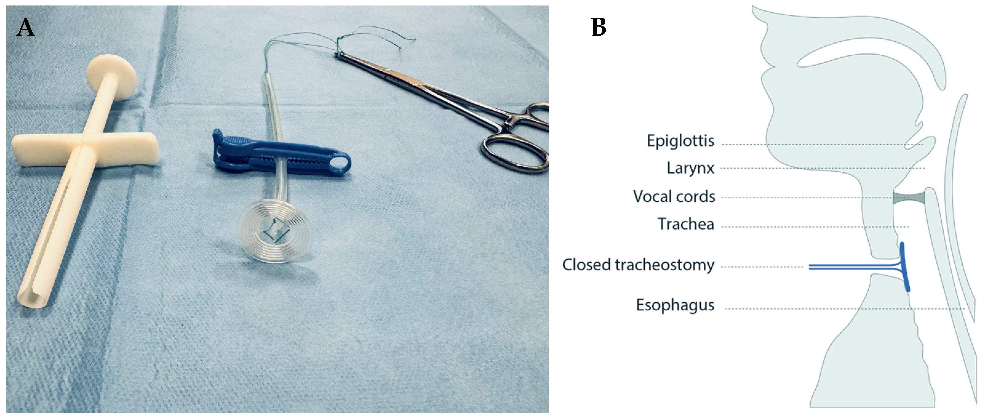 Biomedicines 12 00852 g001