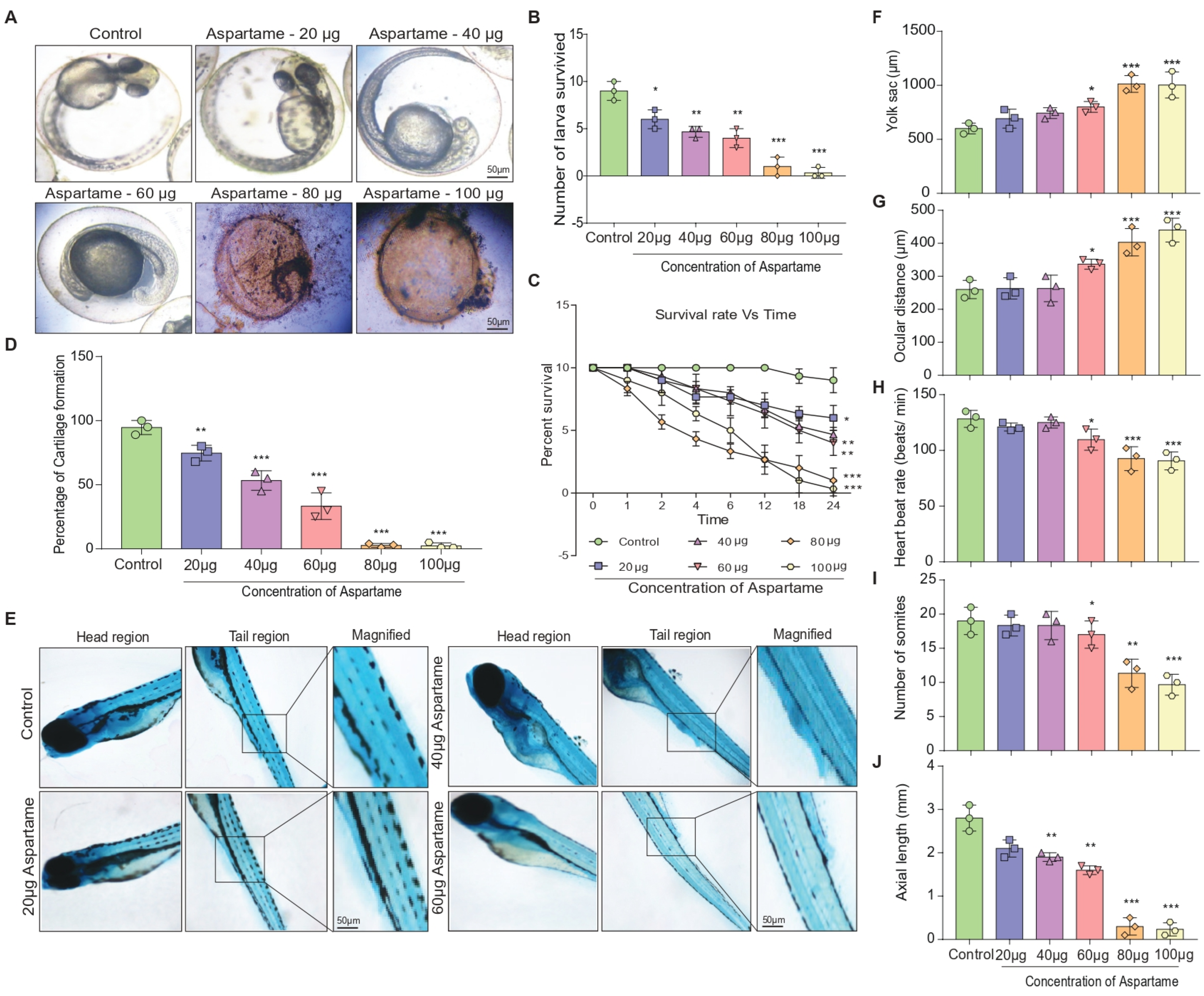 Biomedicines 12 00855 g001