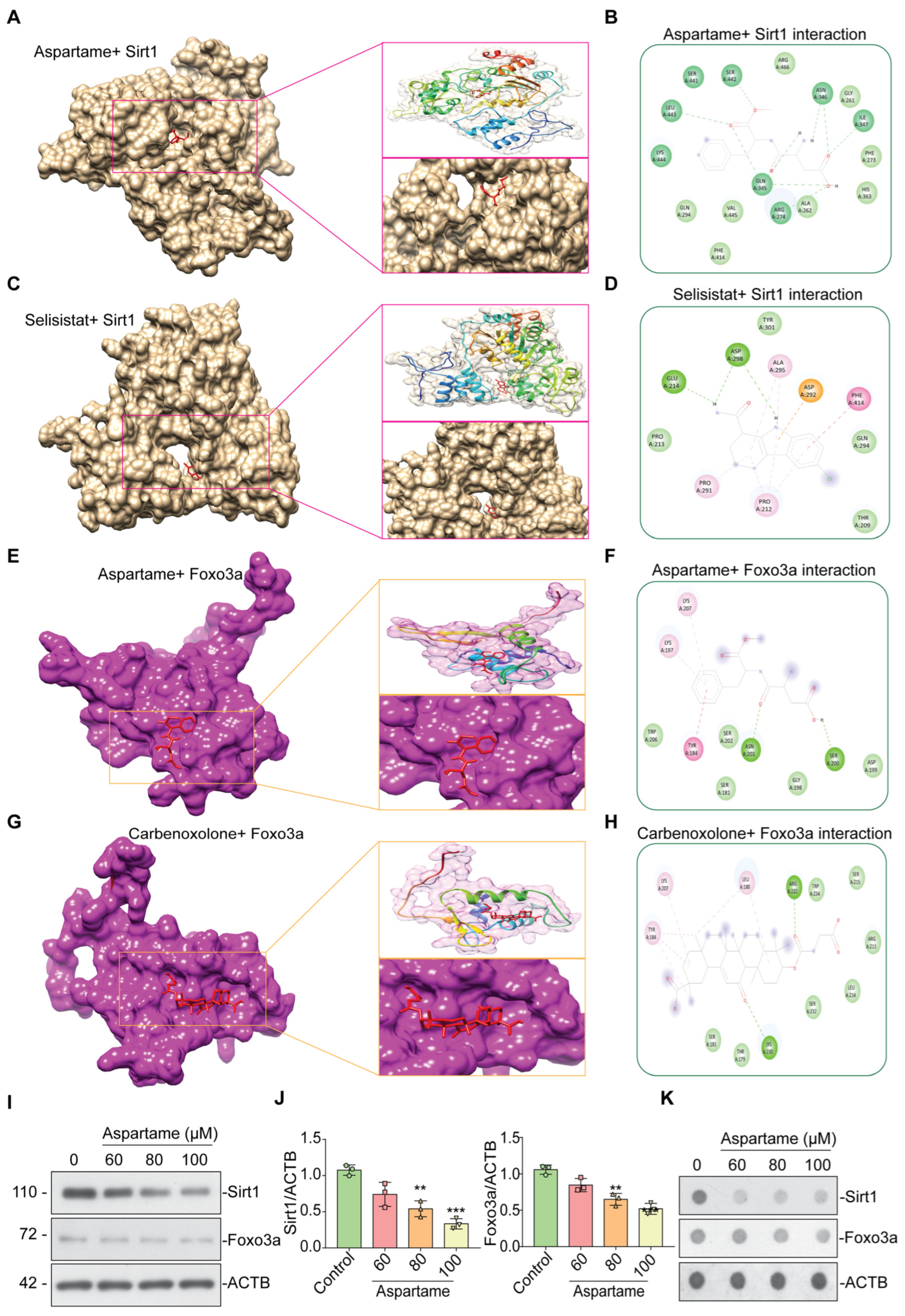 Biomedicines 12 00855 g004
