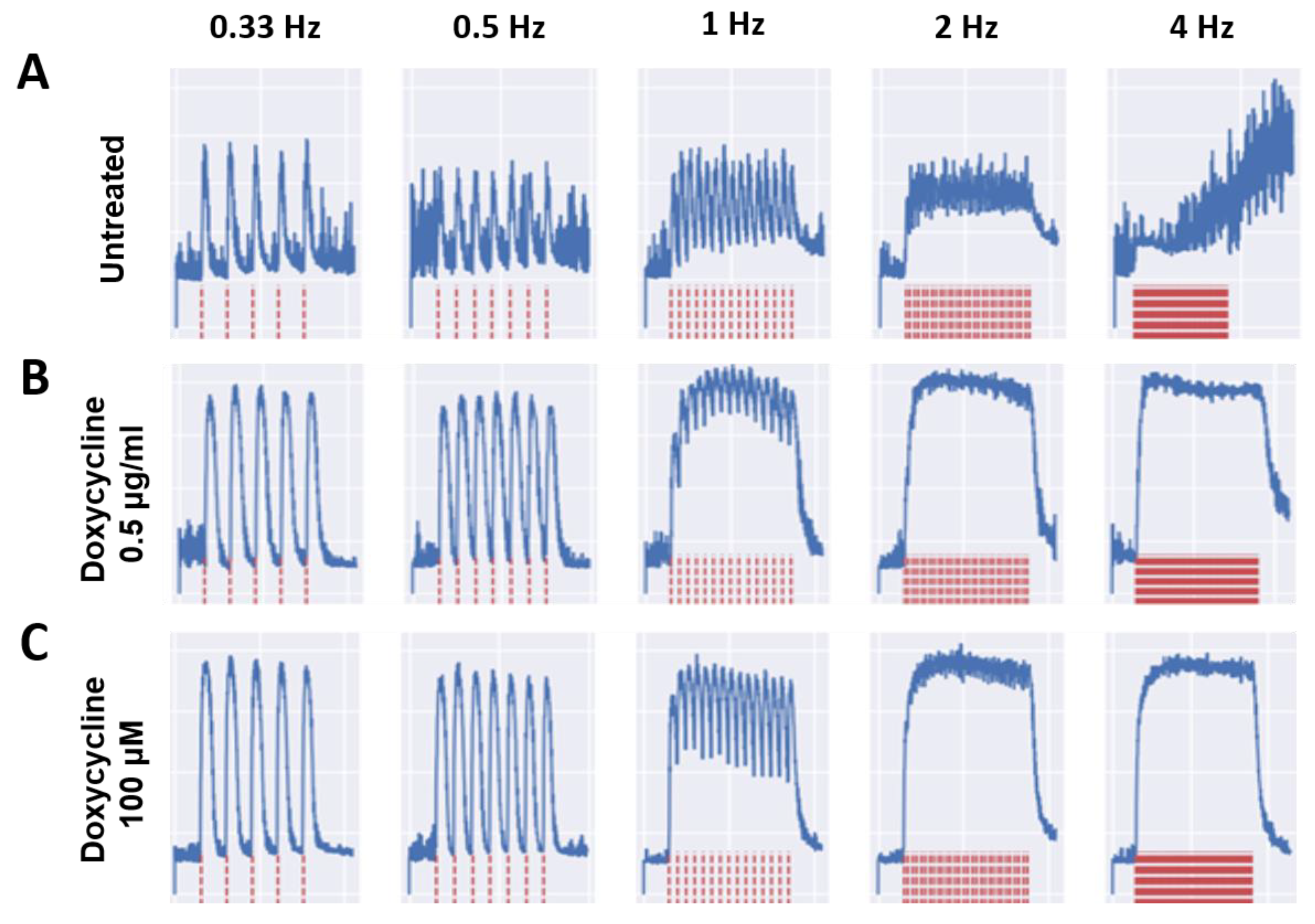 Biomedicines 12 00856 g003