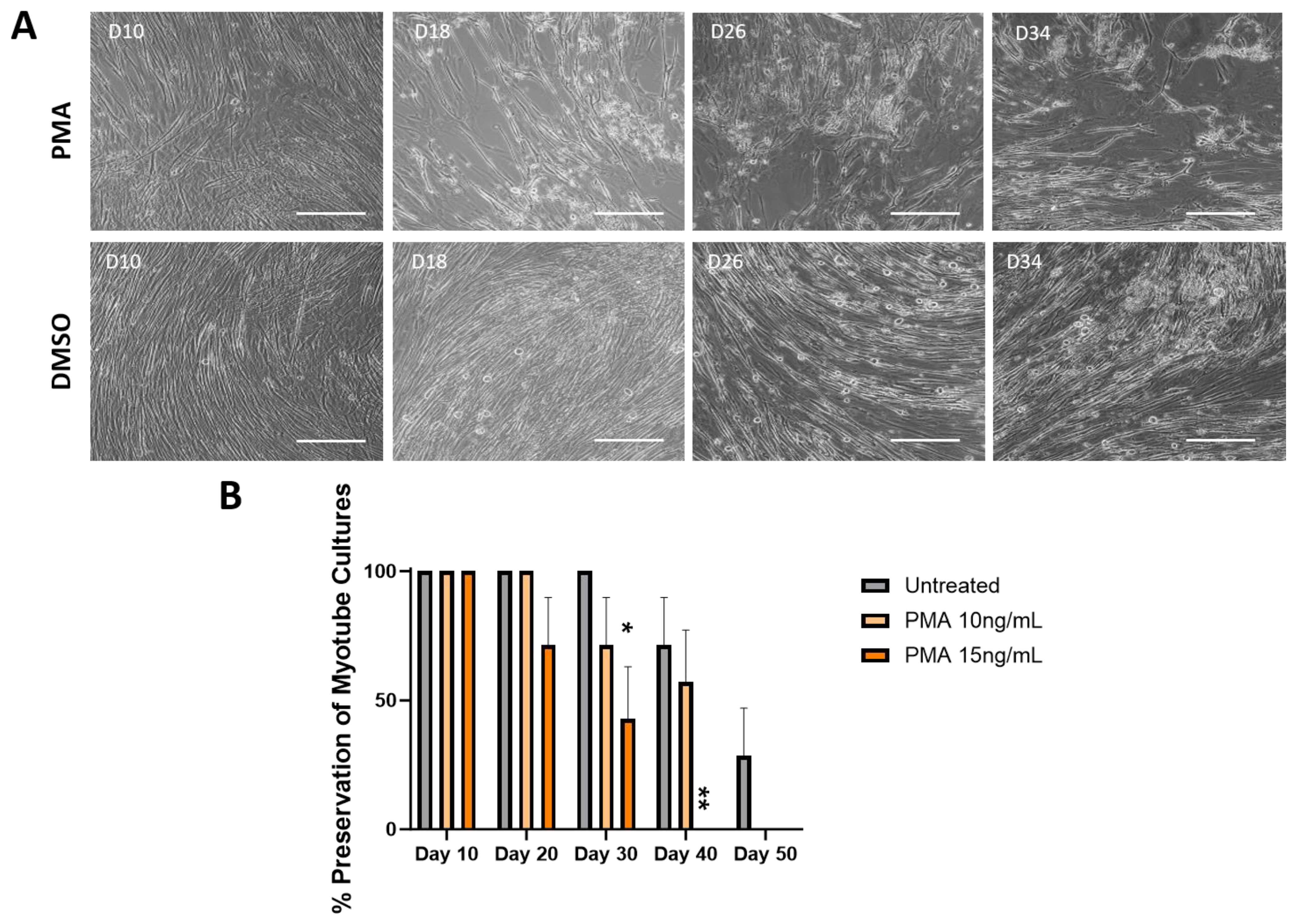 Biomedicines 12 00856 g005