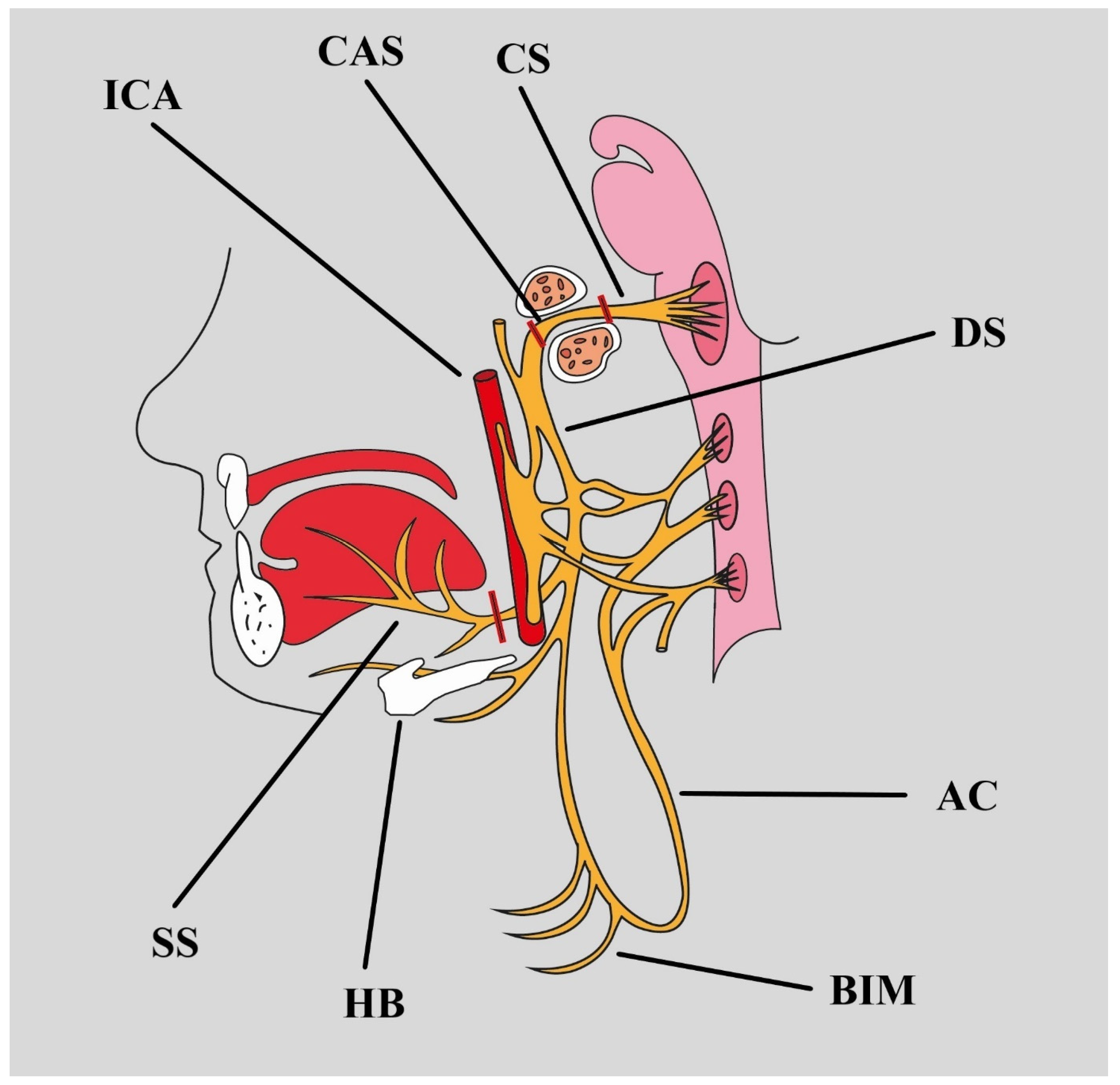 Biomedicines 12 00864 g002