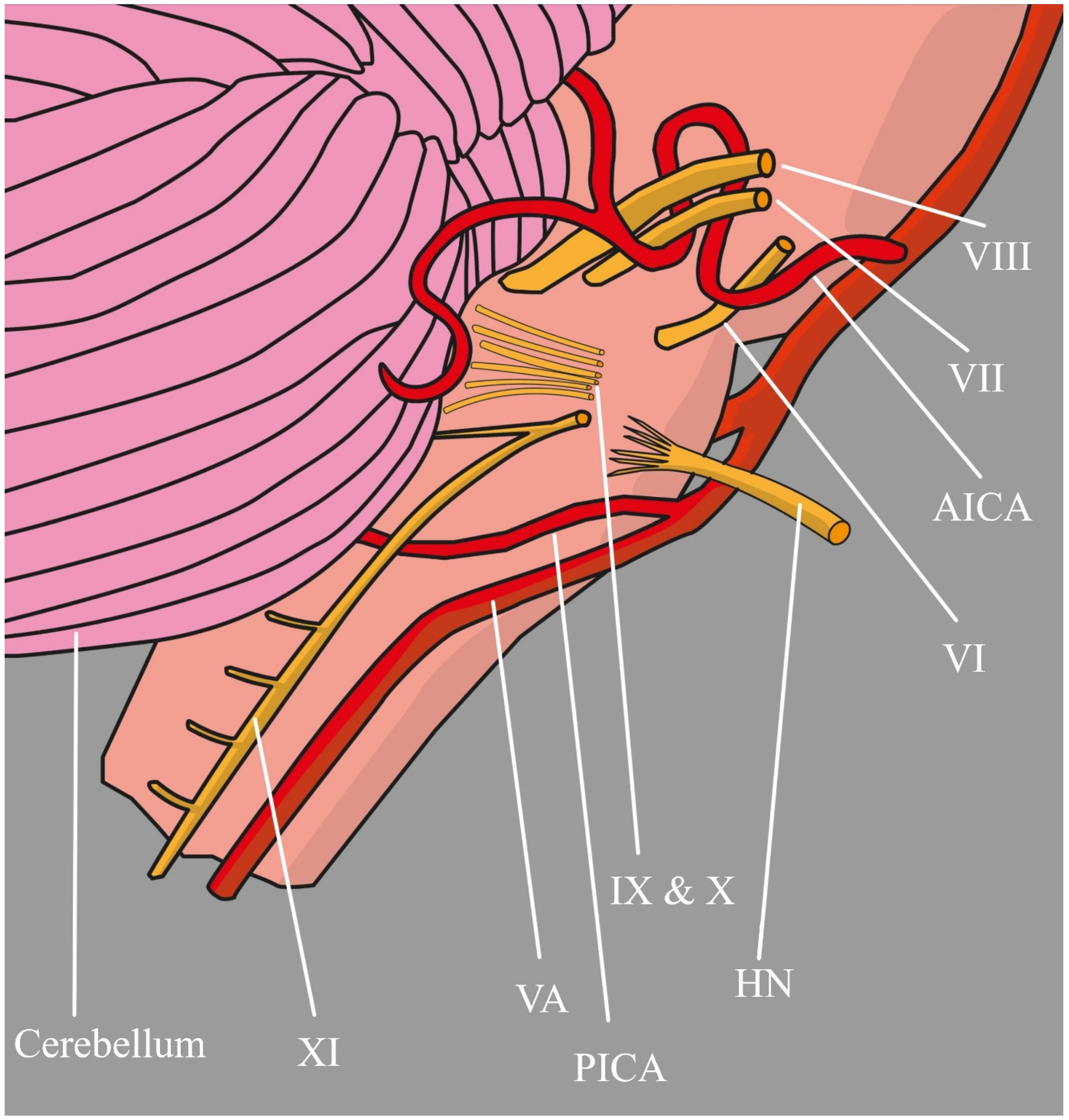 Biomedicines 12 00864 g003