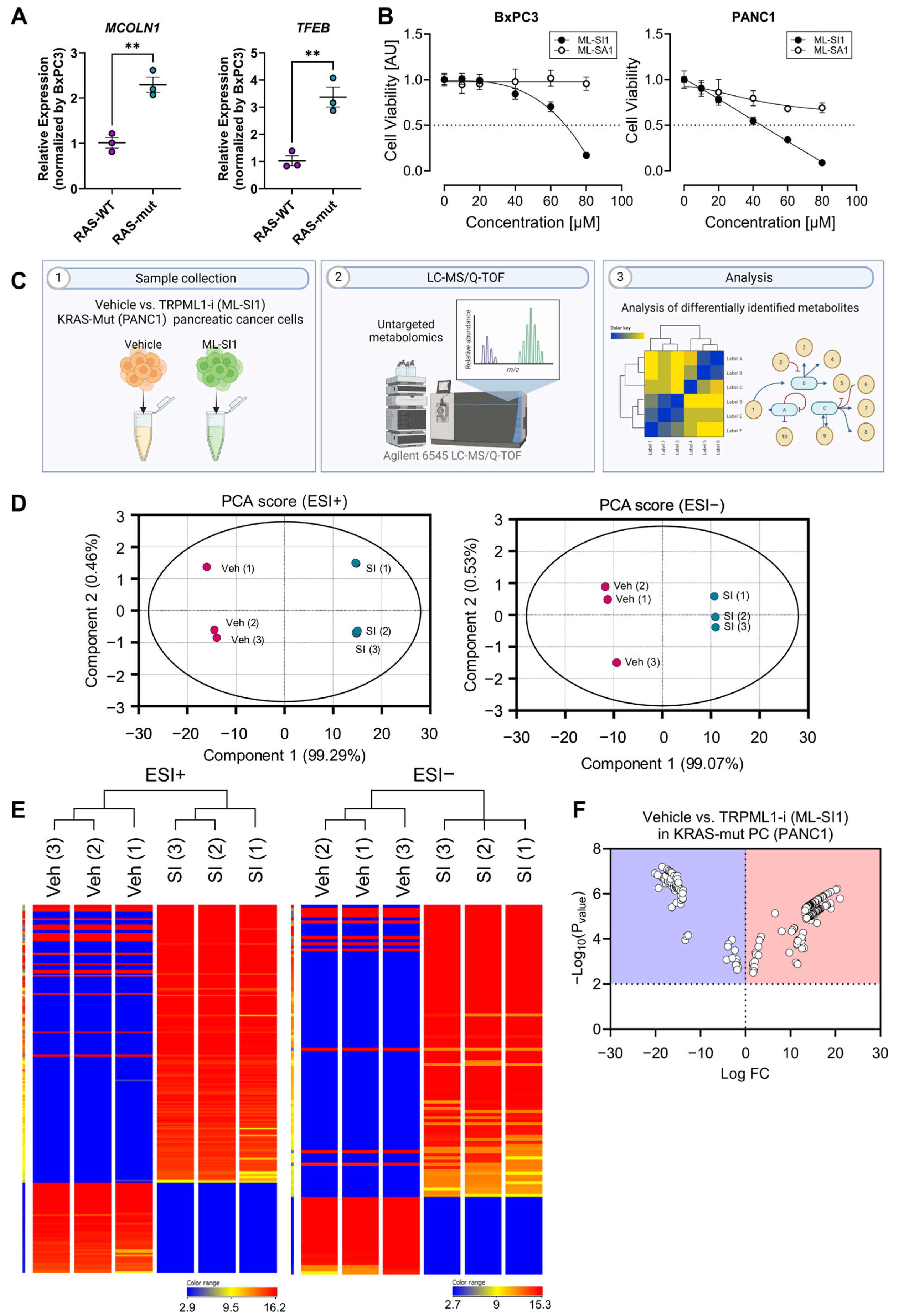 Biomedicines 12 00865 g003