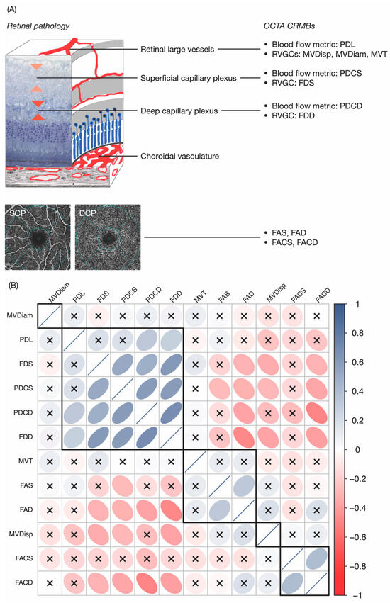 Computational Retinal Microvascular Biomarkers from an OCTA Image in ...