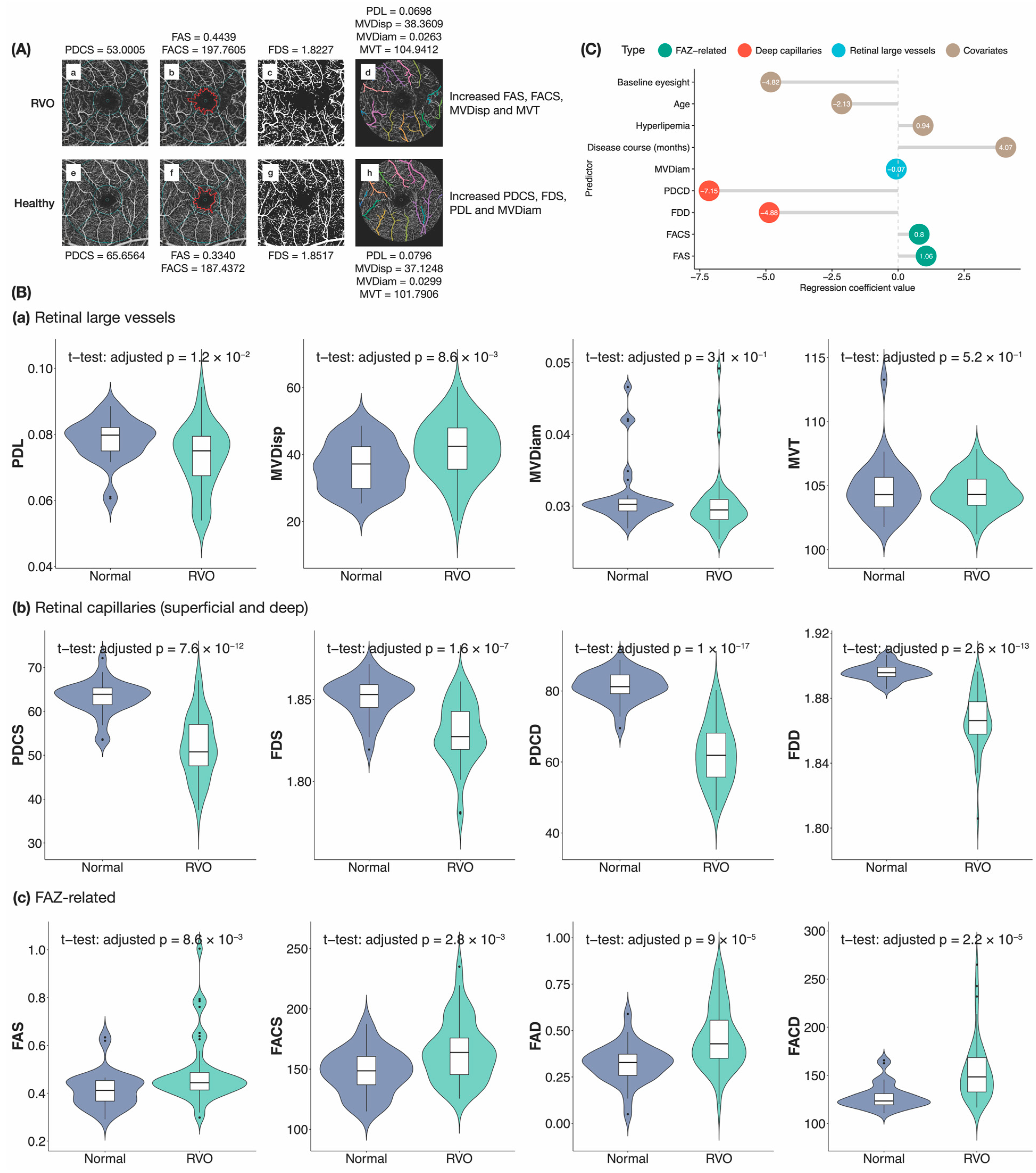 Biomedicines 12 00868 g003