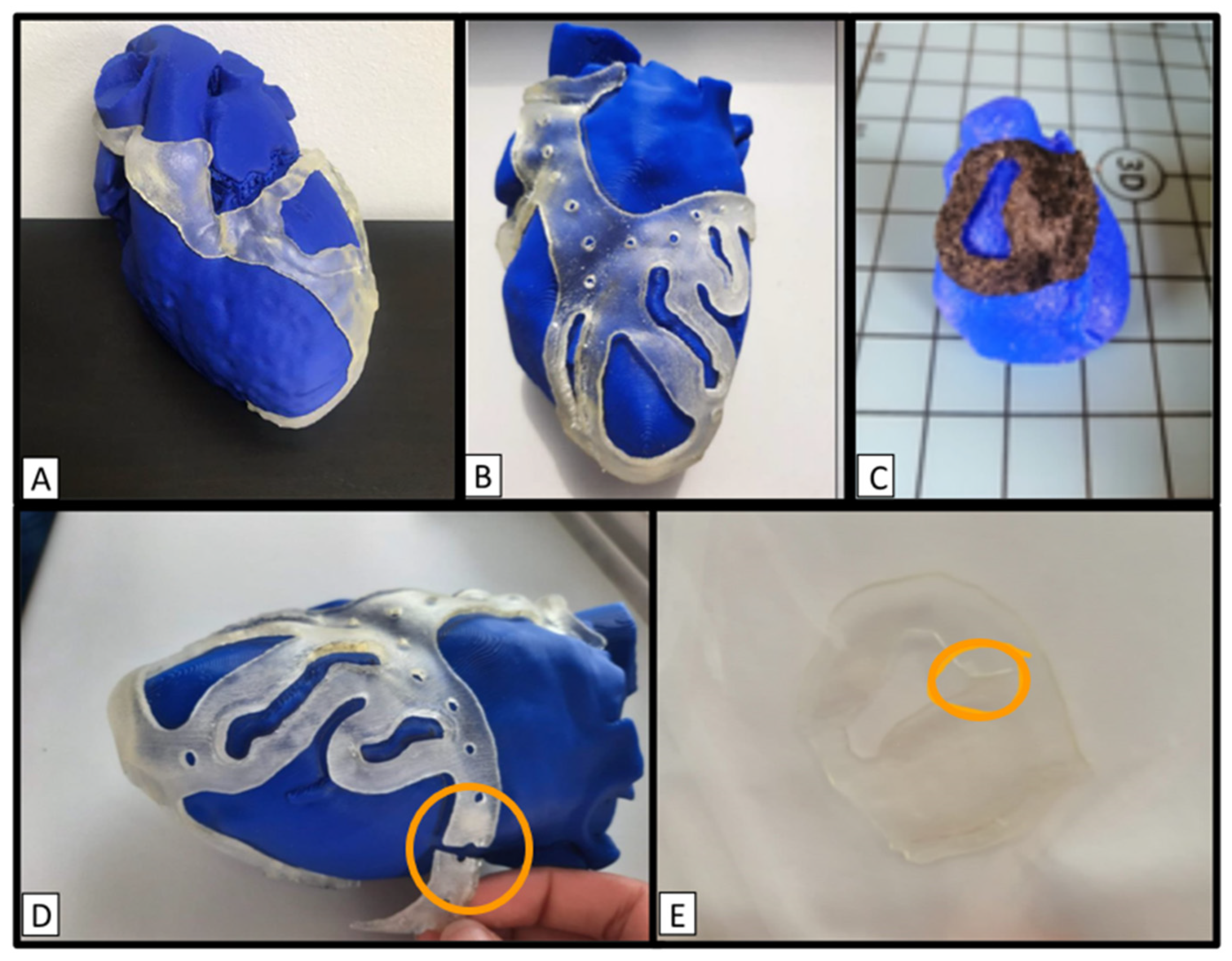 Biomedicines 12 00869 g002