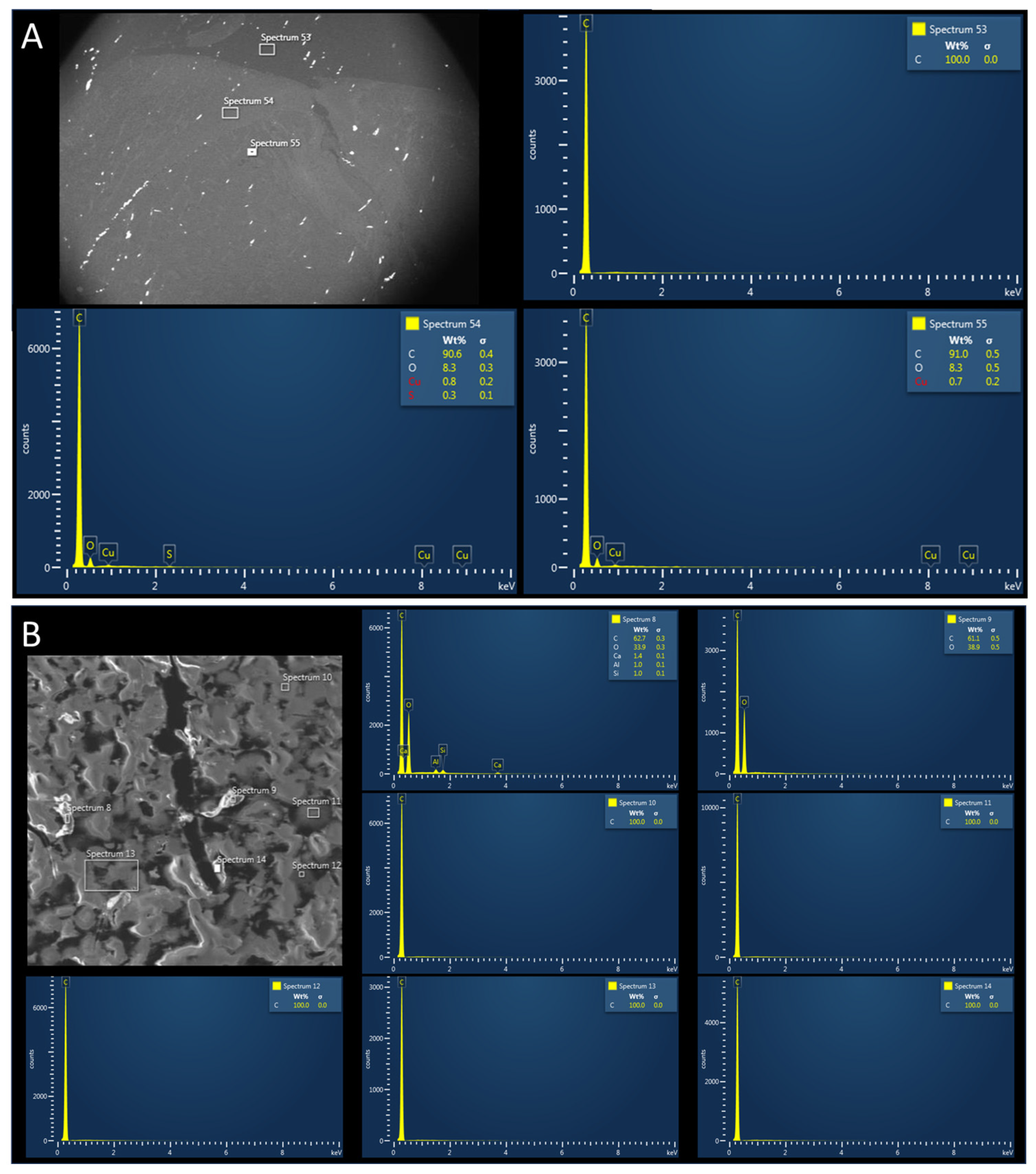 Biomedicines 12 00869 g004