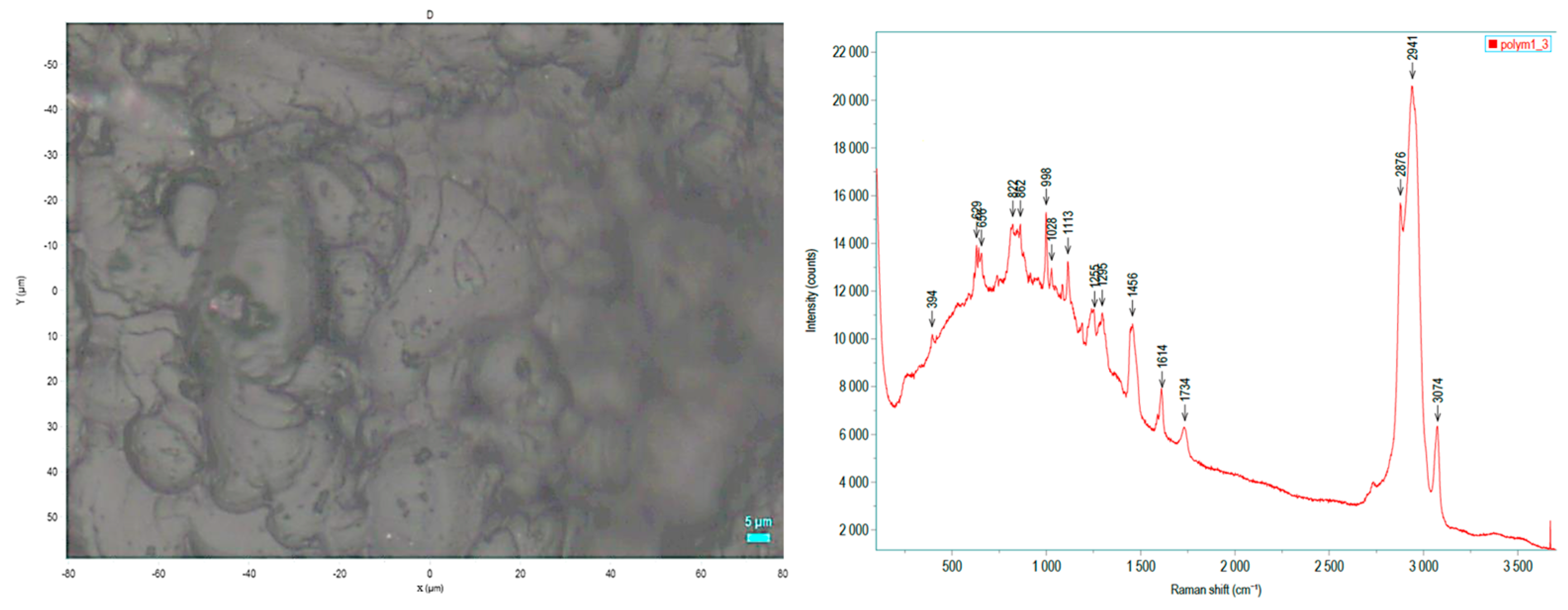 Biomedicines 12 00869 g005