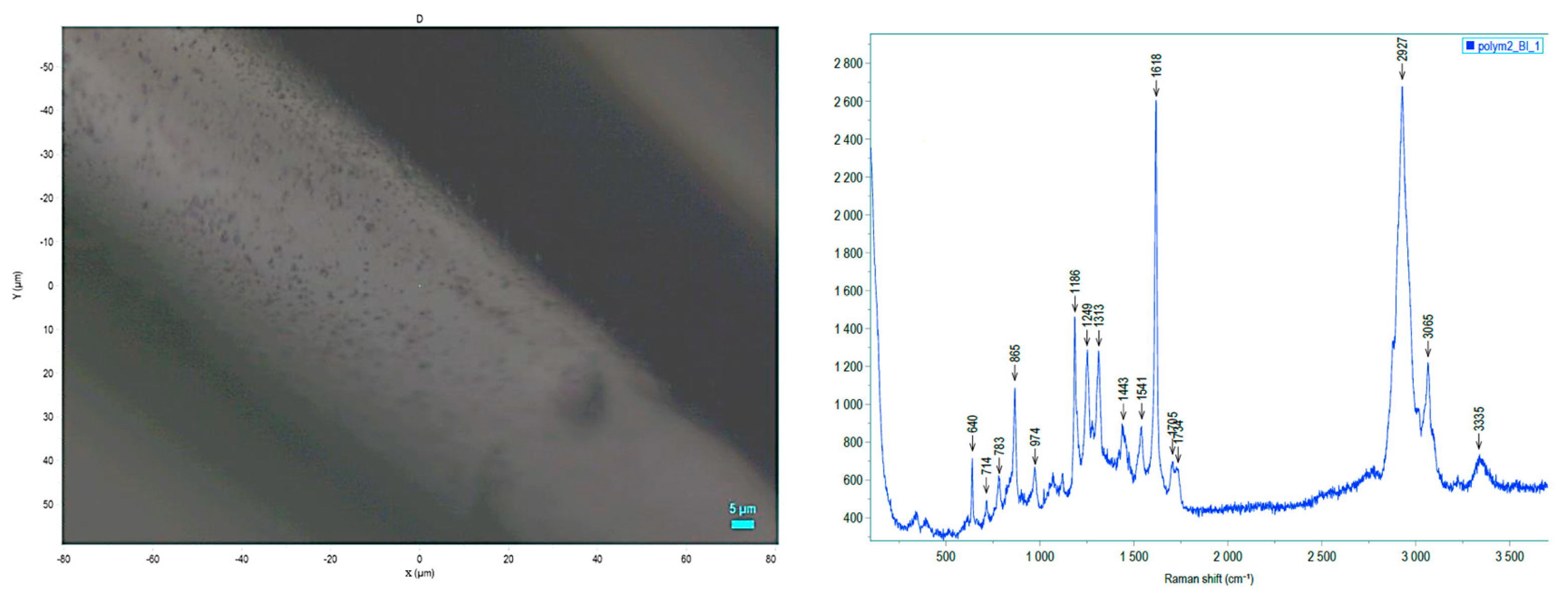 Biomedicines 12 00869 g006