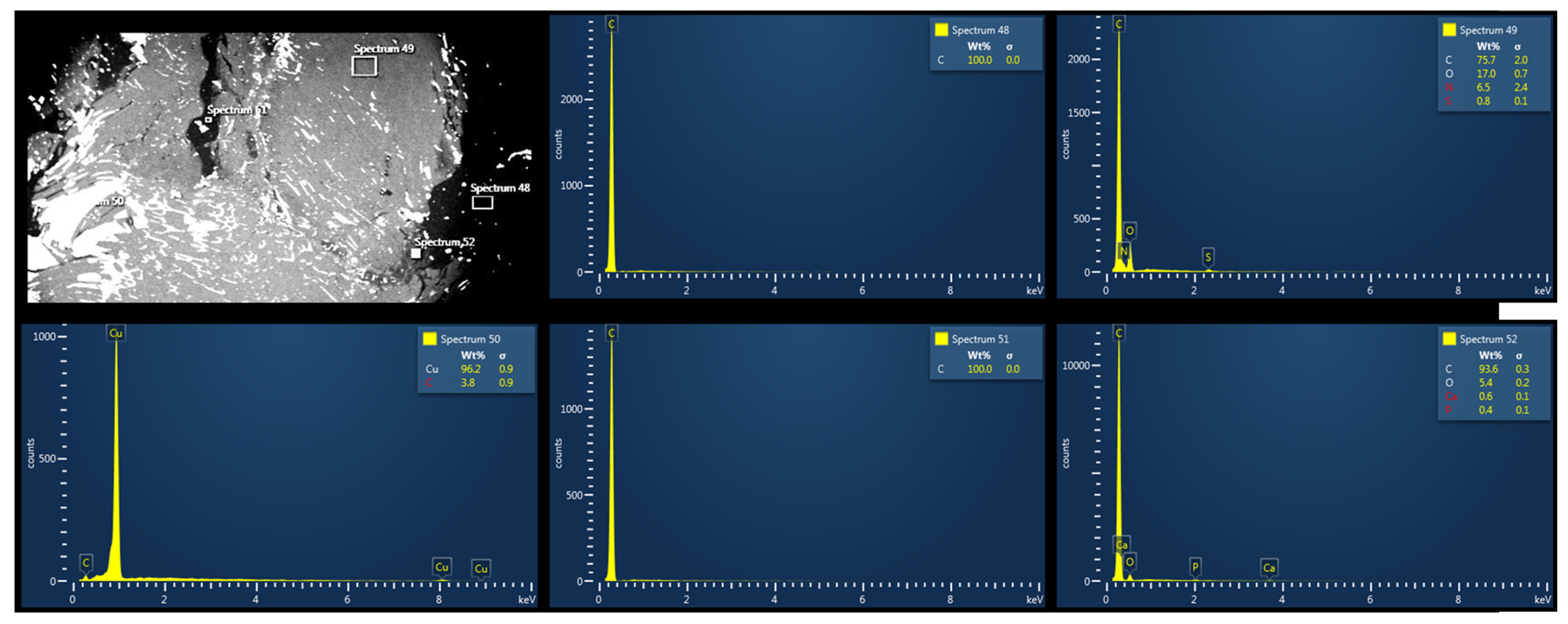Biomedicines 12 00869 g008
