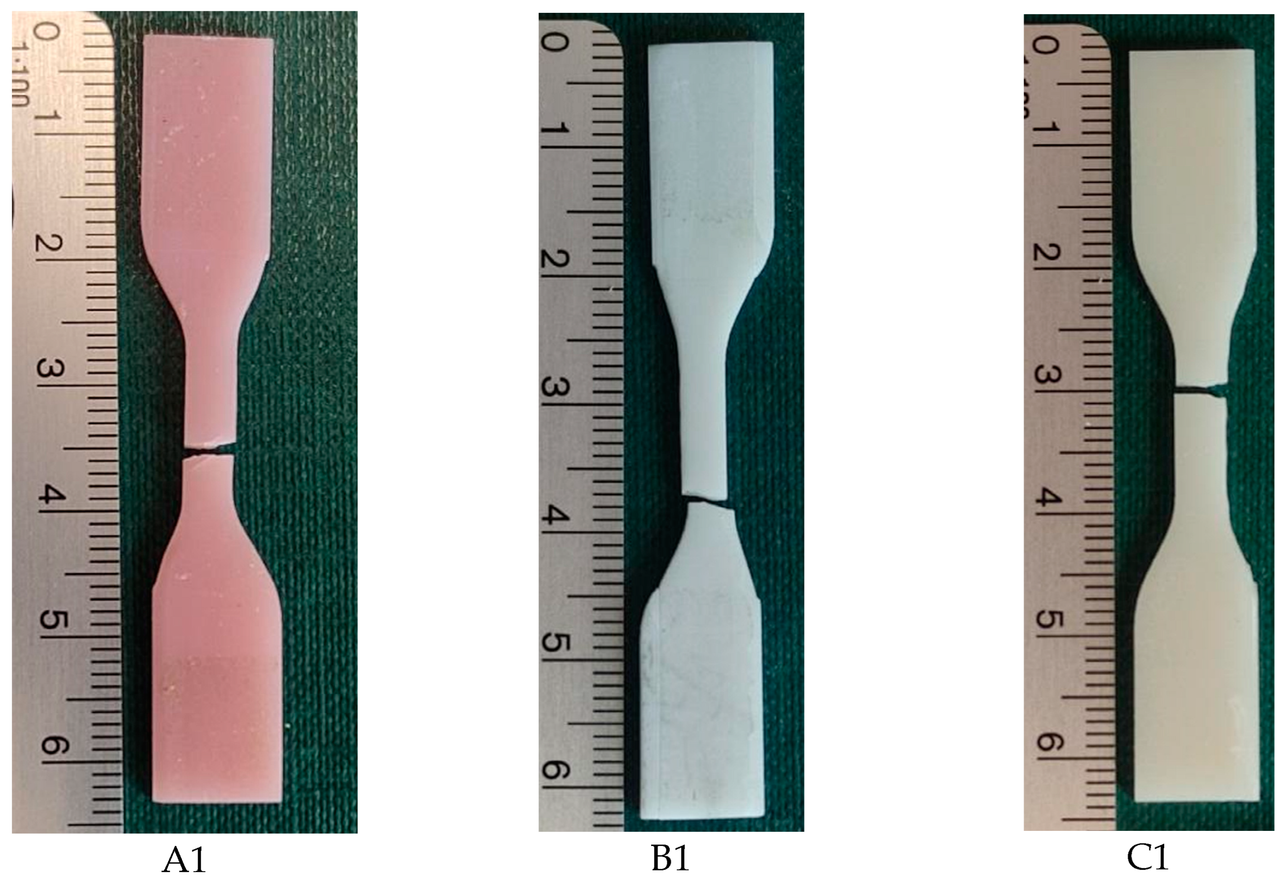 Biomedicines 12 00870 g008