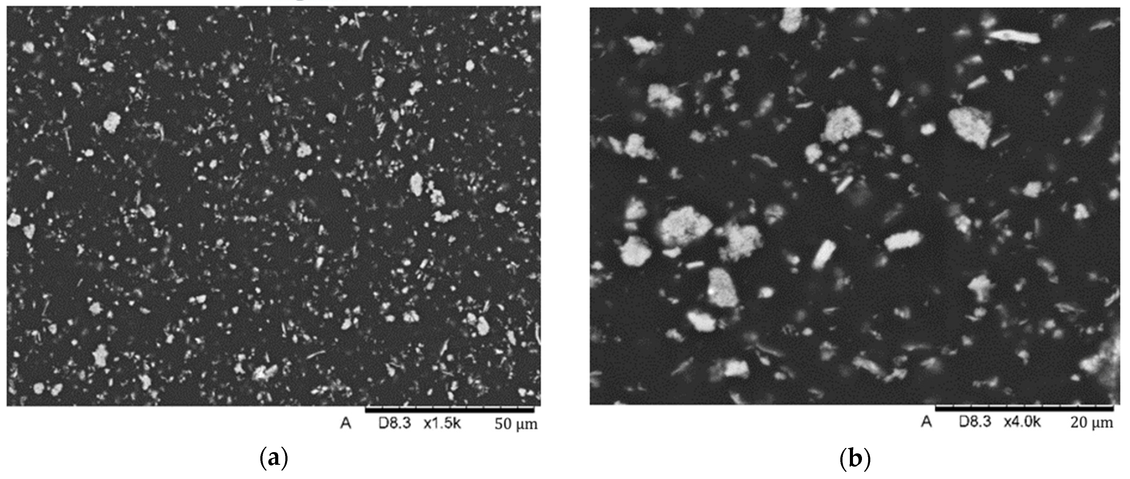 Biomedicines 12 00870 g010