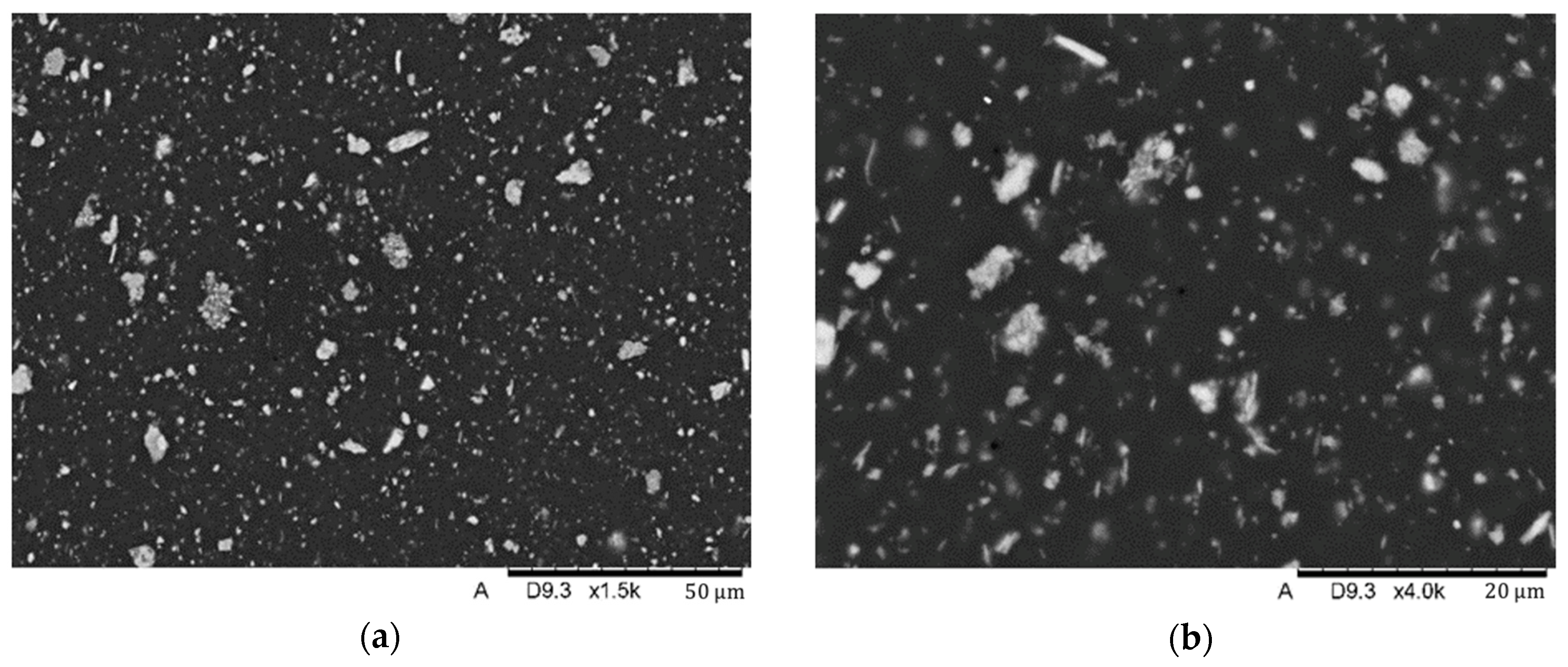 Biomedicines 12 00870 g011