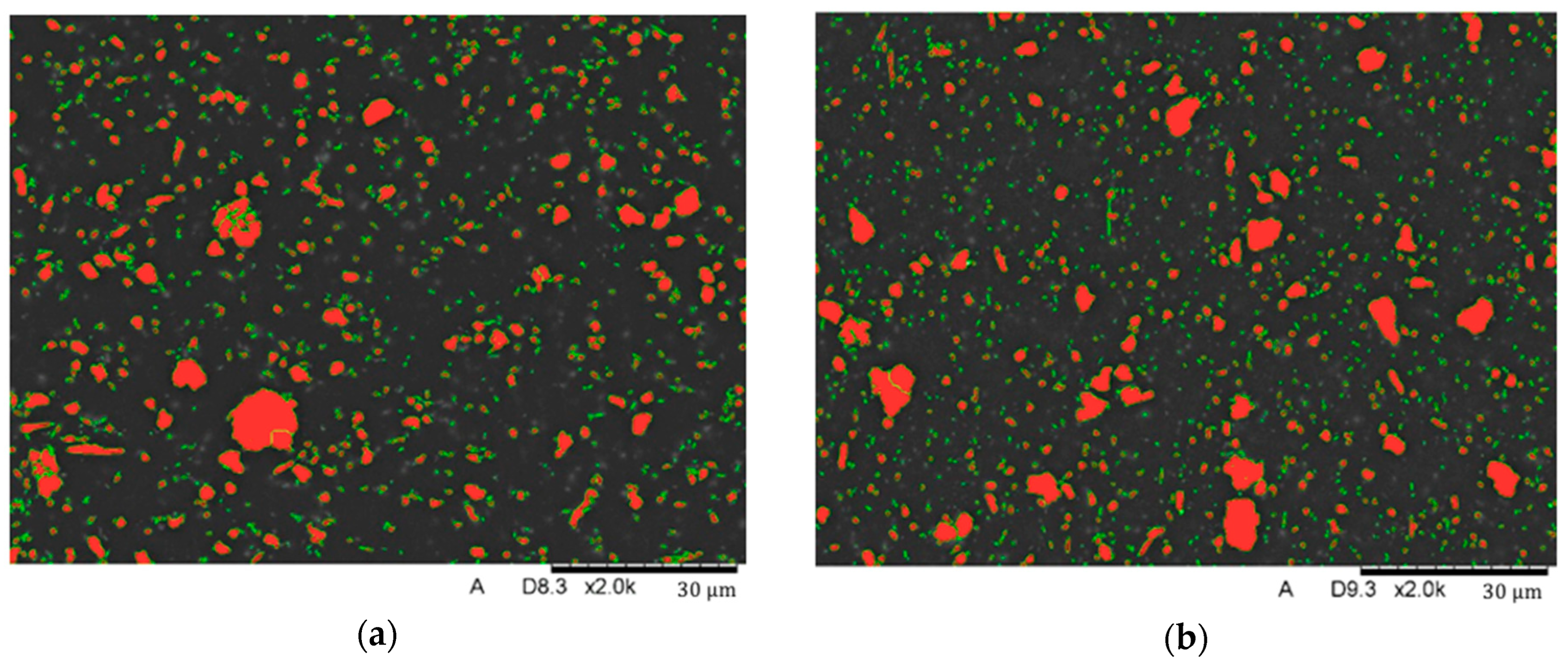 Biomedicines 12 00870 g012