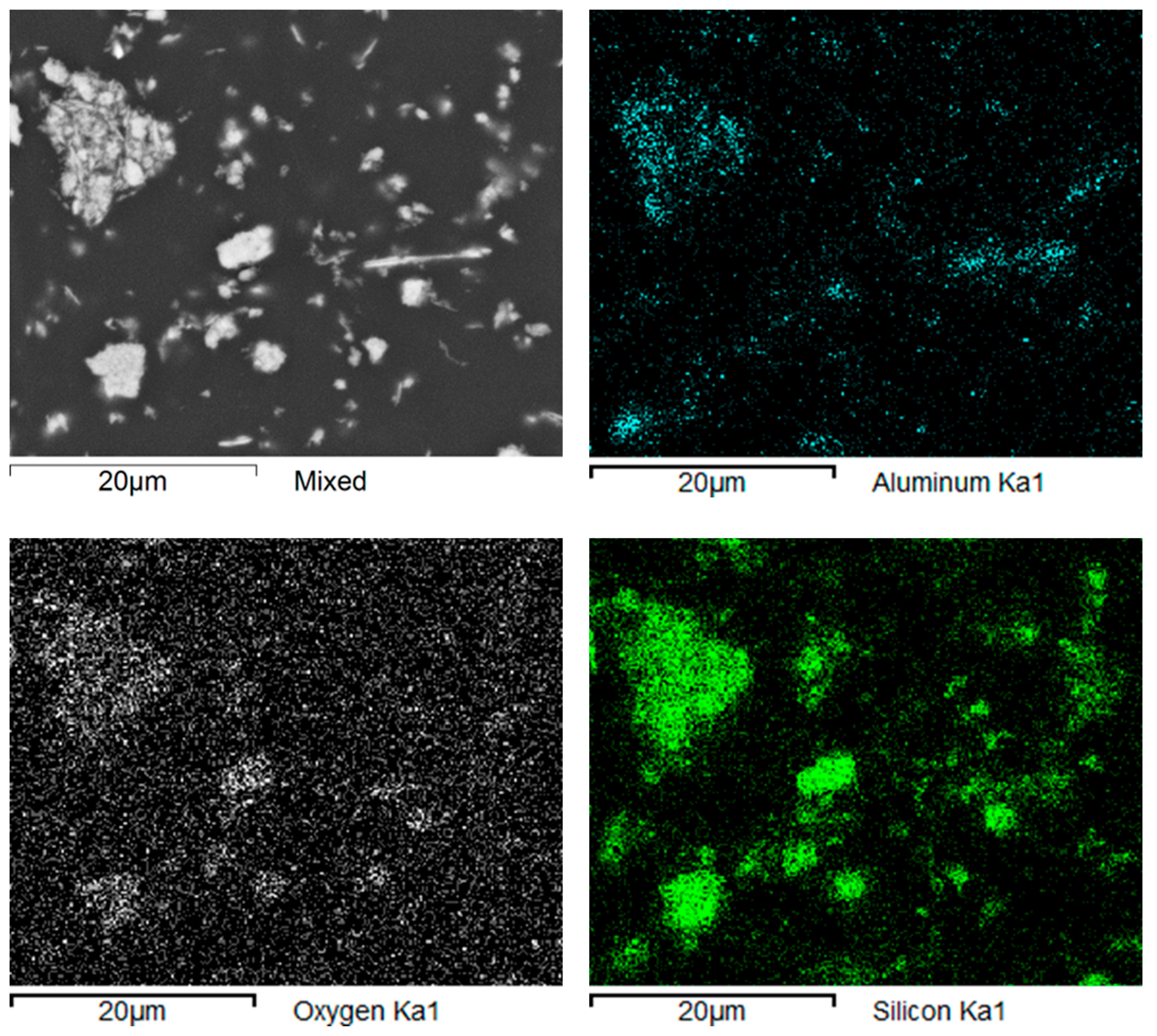 Biomedicines 12 00870 g013
