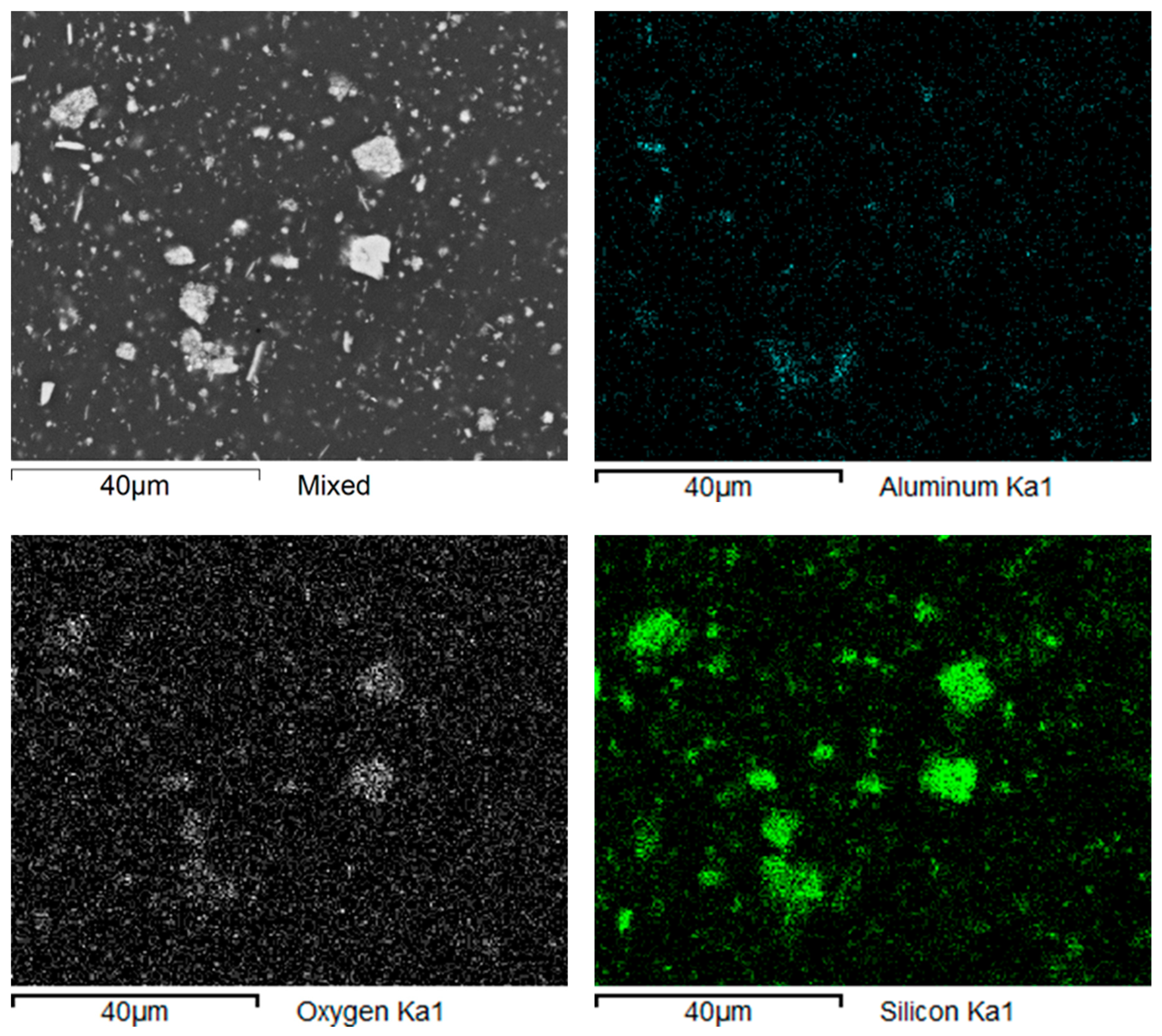Biomedicines 12 00870 g014