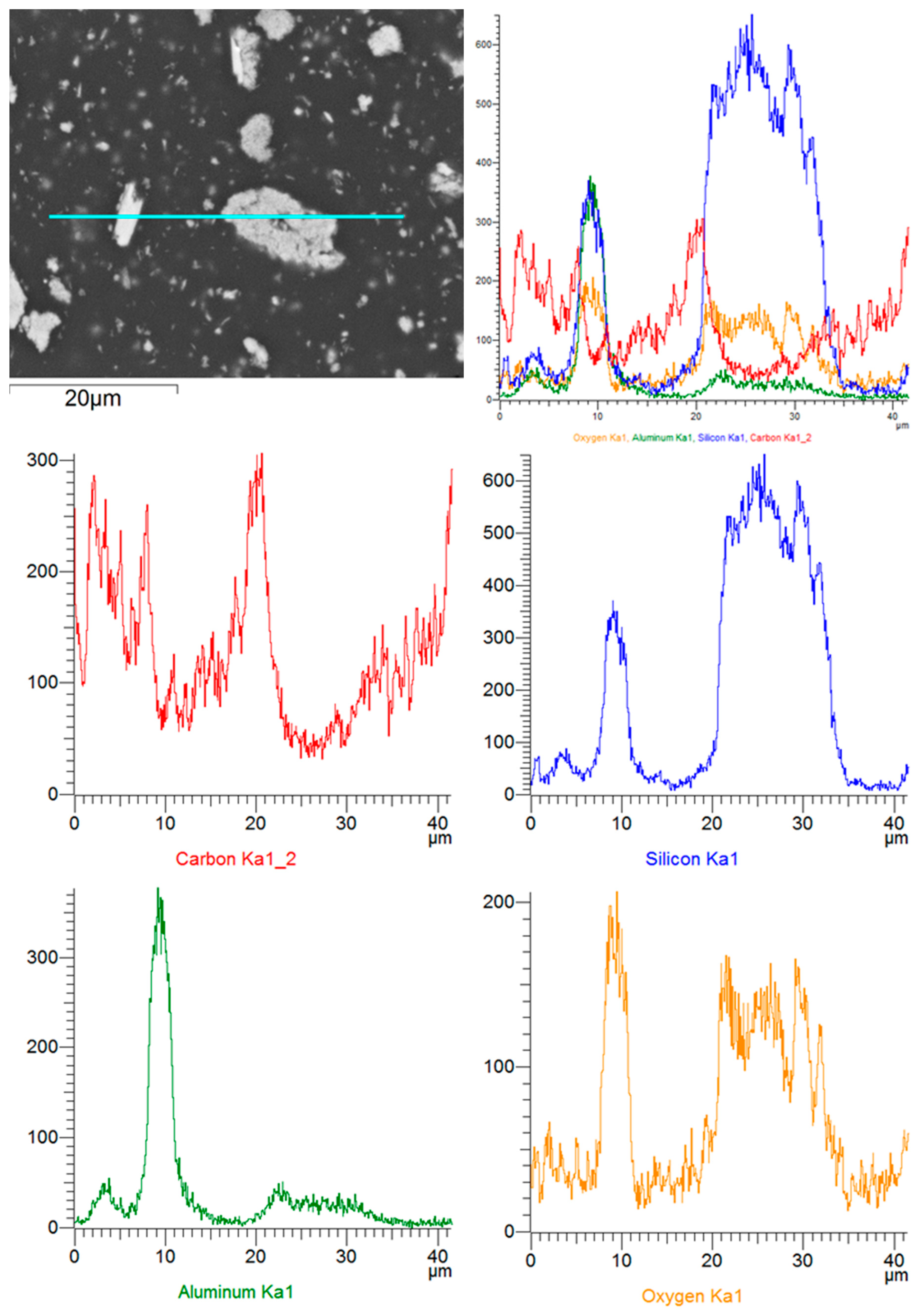Biomedicines 12 00870 g015
