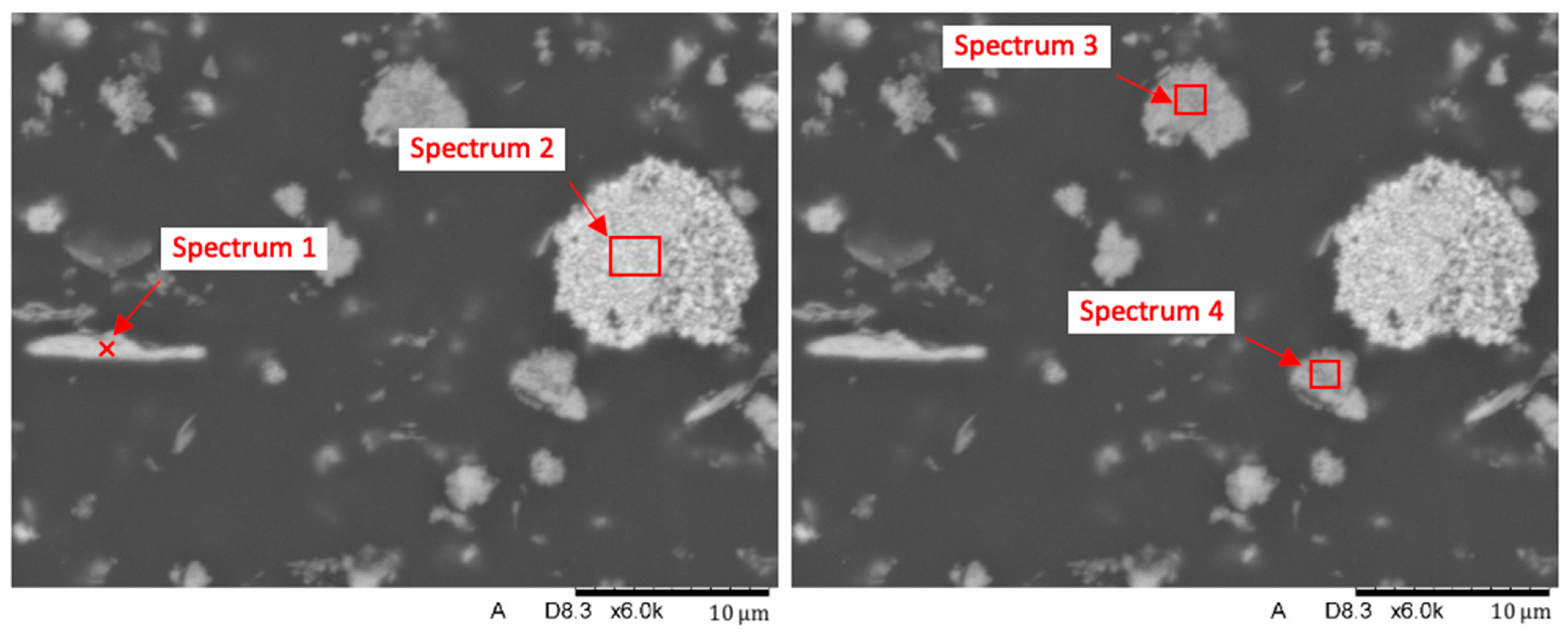 Biomedicines 12 00870 g016