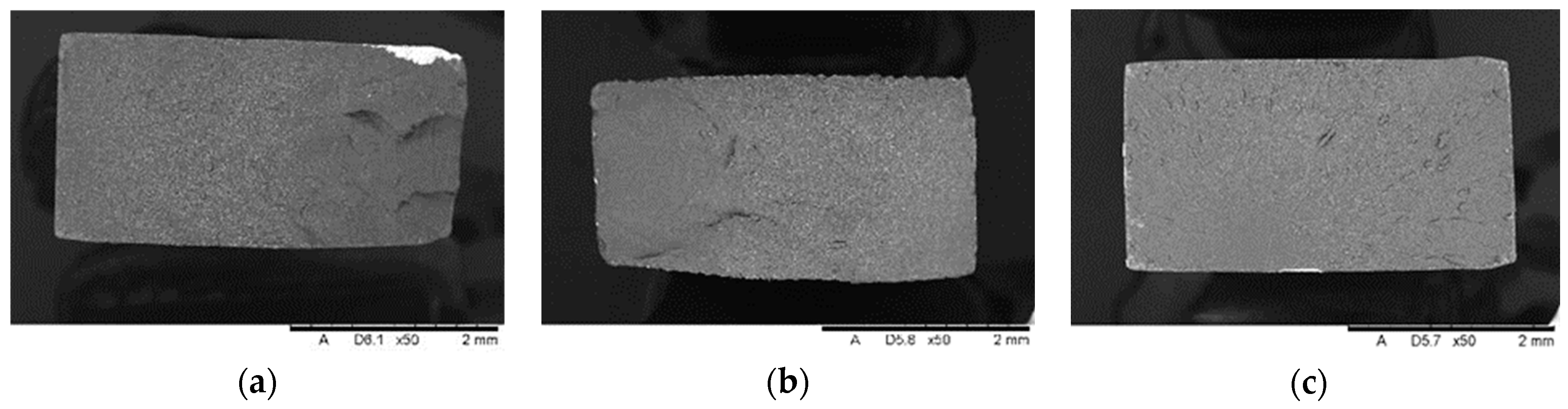 Biomedicines 12 00870 g020