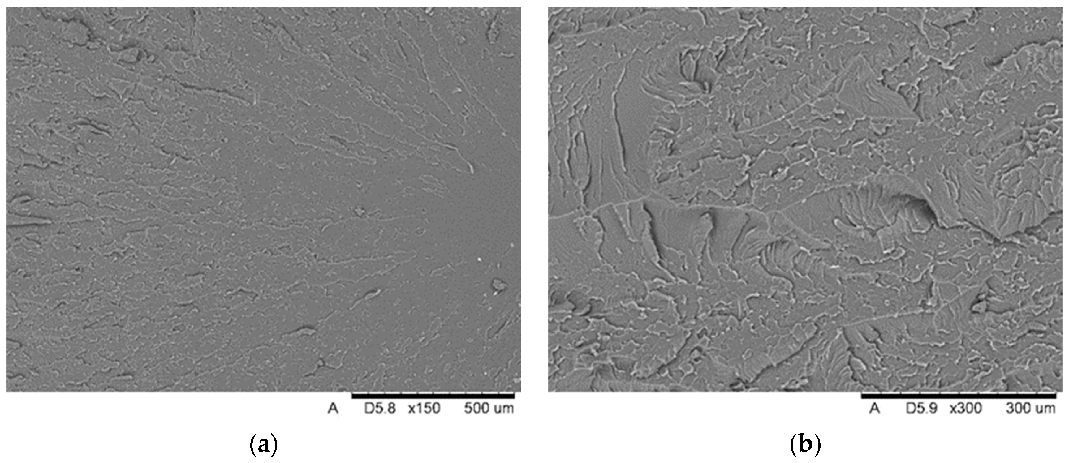 Biomedicines 12 00870 g023