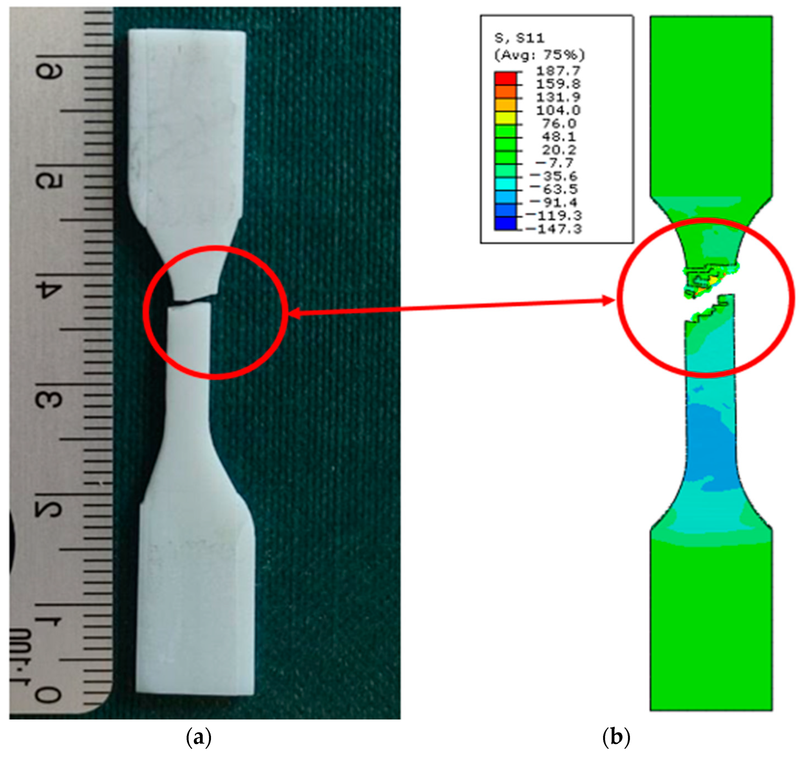 Biomedicines 12 00870 g027
