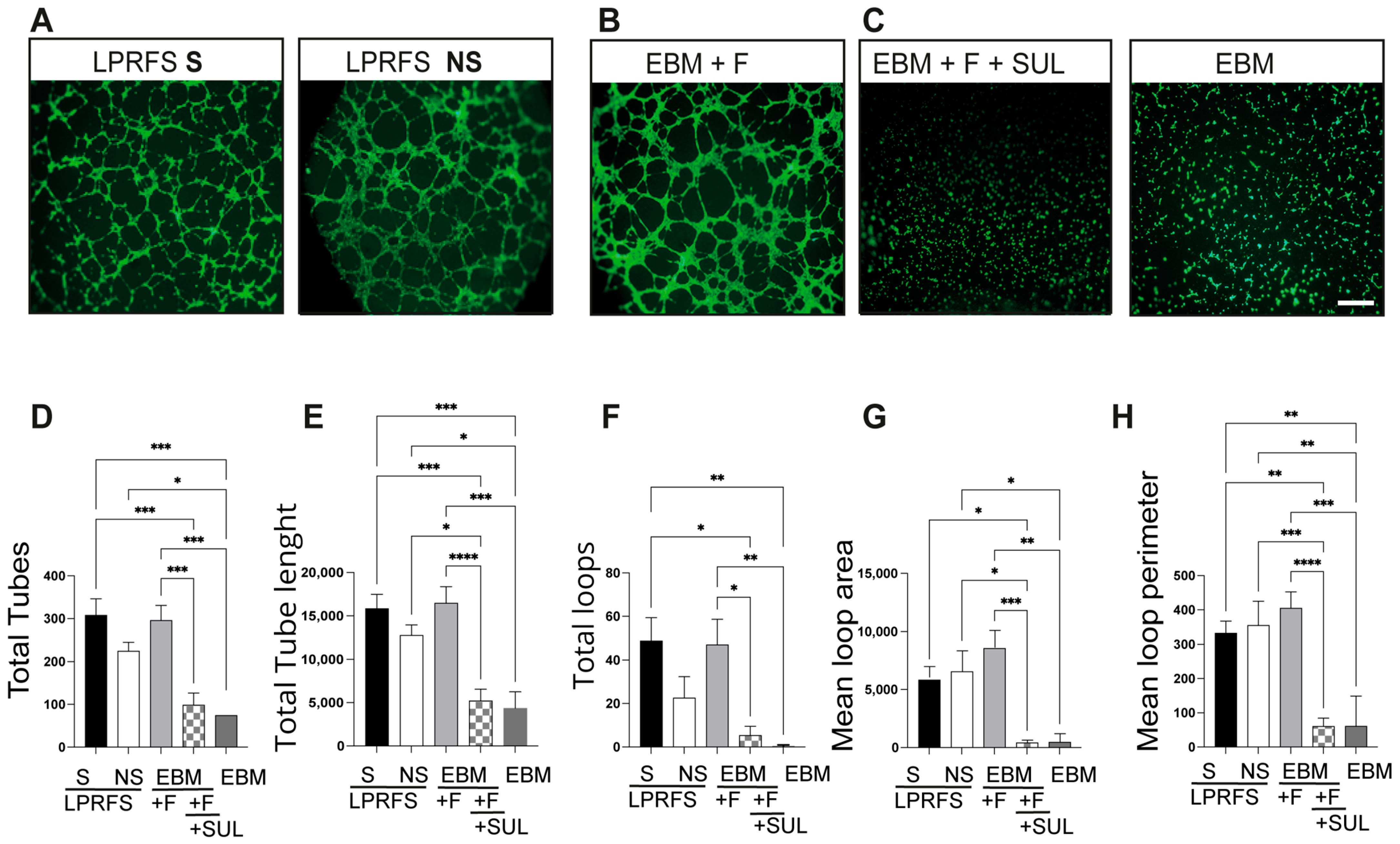 Biomedicines 12 00874 g002