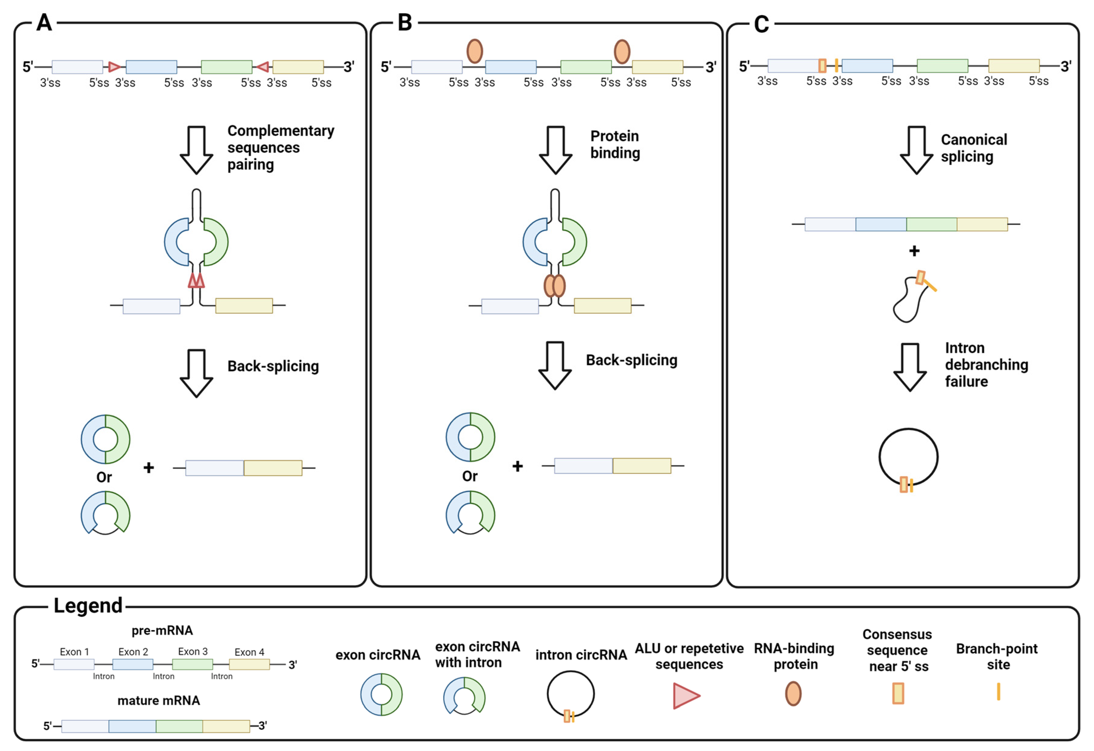 Biomedicines 12 00875 g002 Biomedicines 12 00875 g002