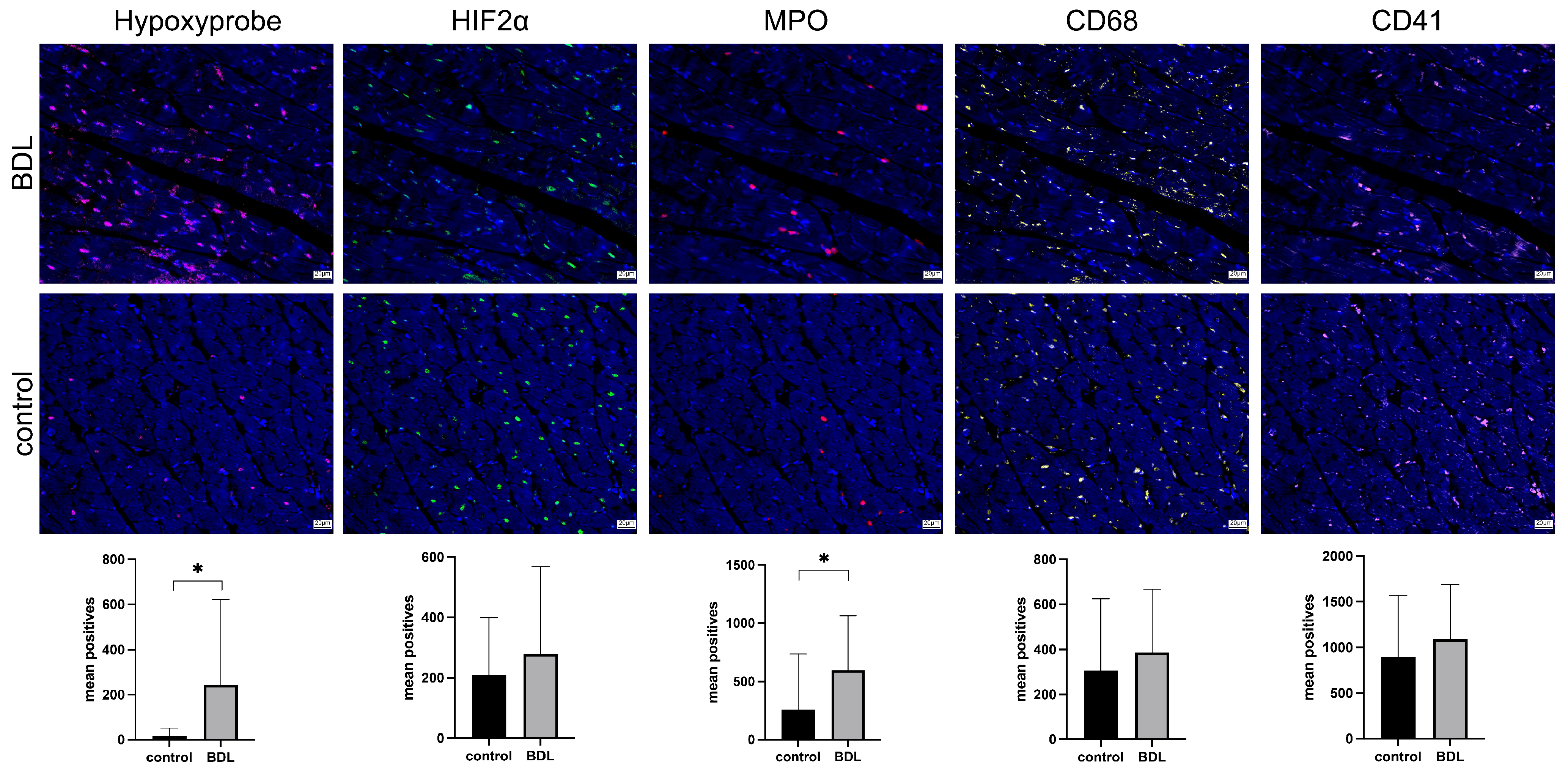 Biomedicines 12 00876 g005 Biomedicines 12 00876 g005